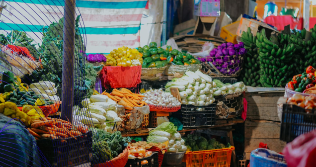 Thiết kế di động và bền bỉ