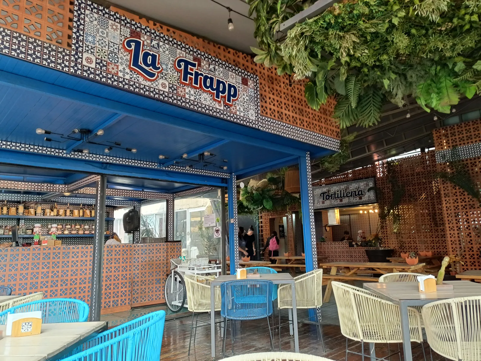 El Mayor image 2