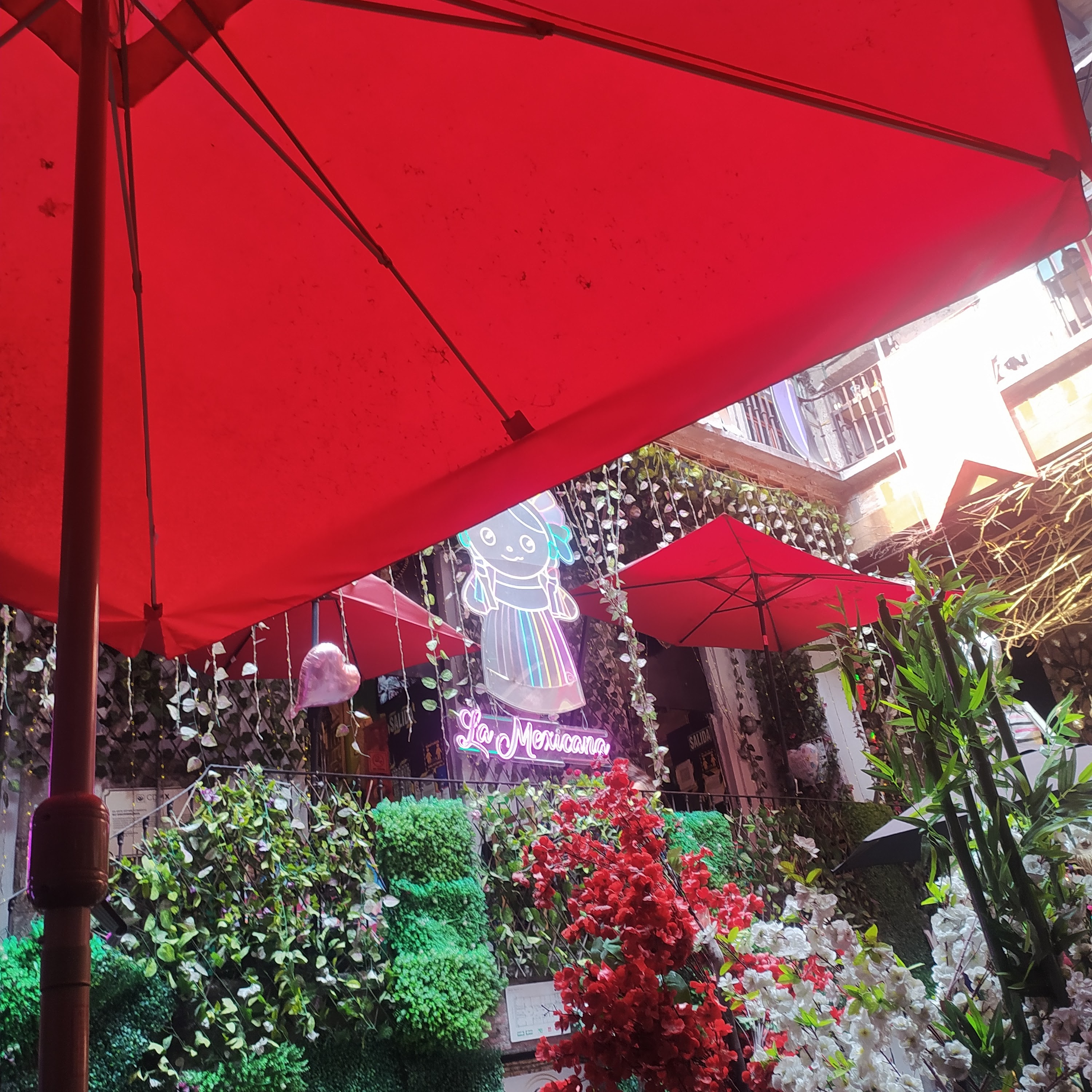 La mexicana cdmx image 4