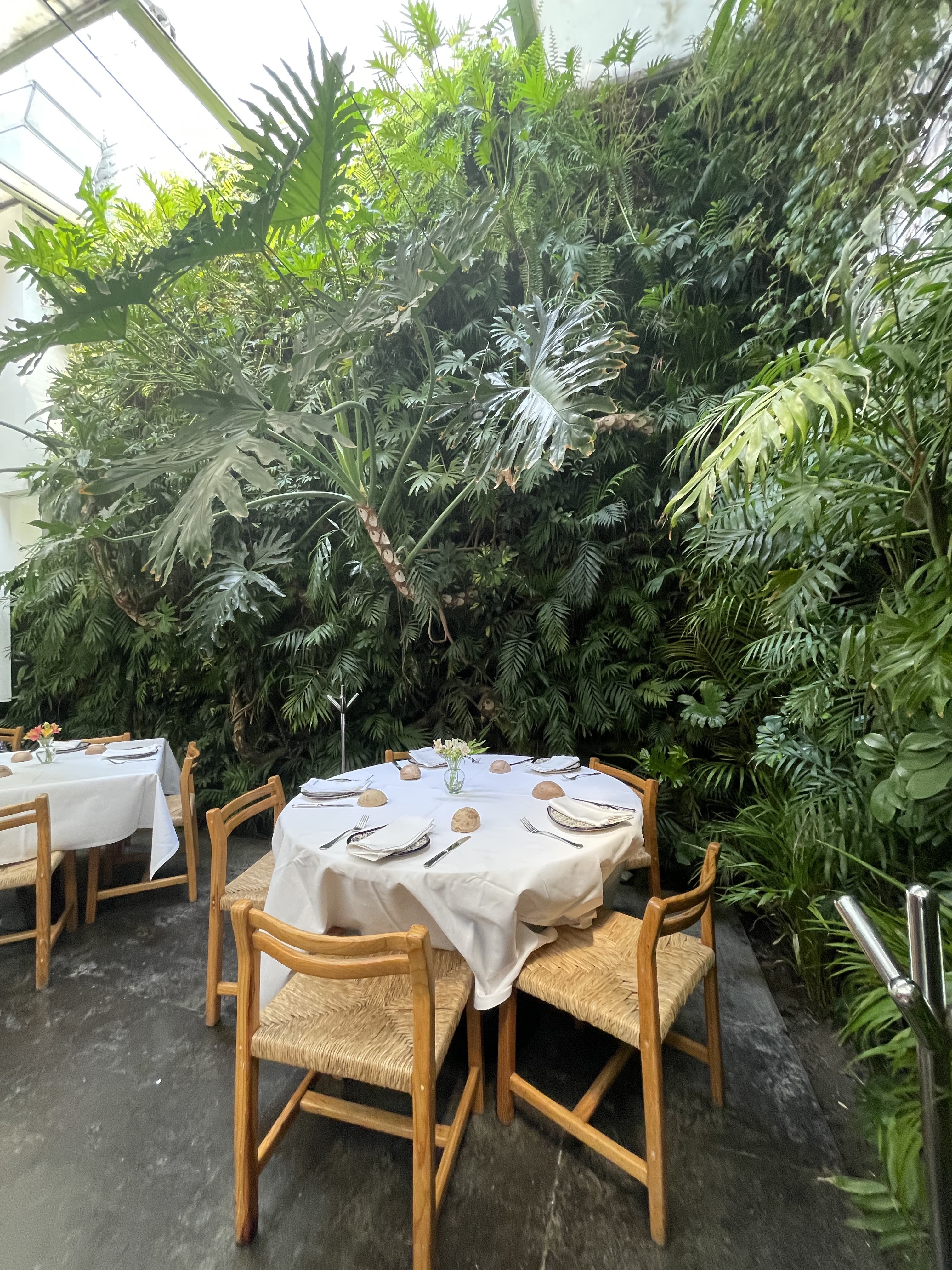 Cocina Central 1812 image 1