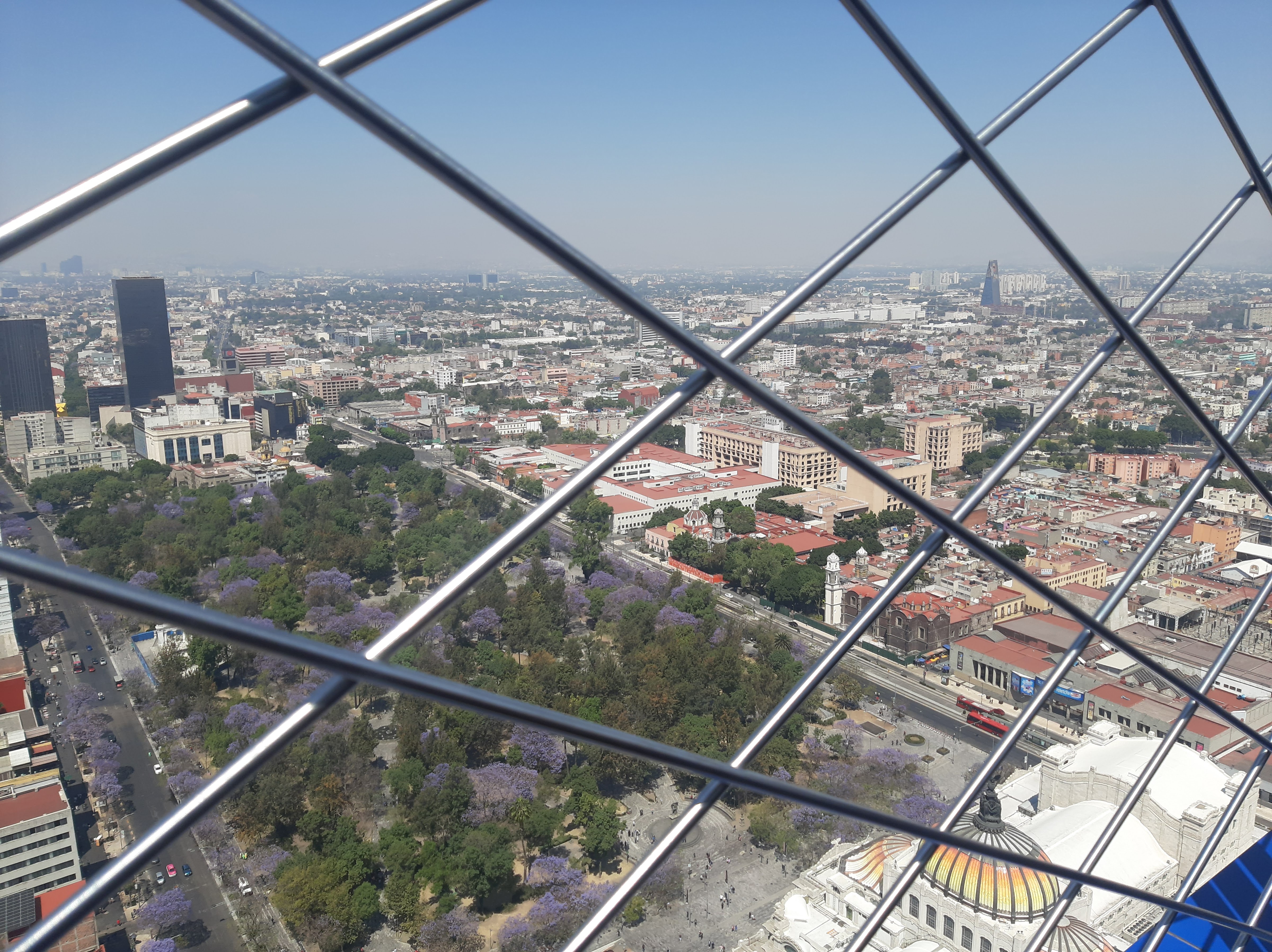 Miralto Restaurante image 10