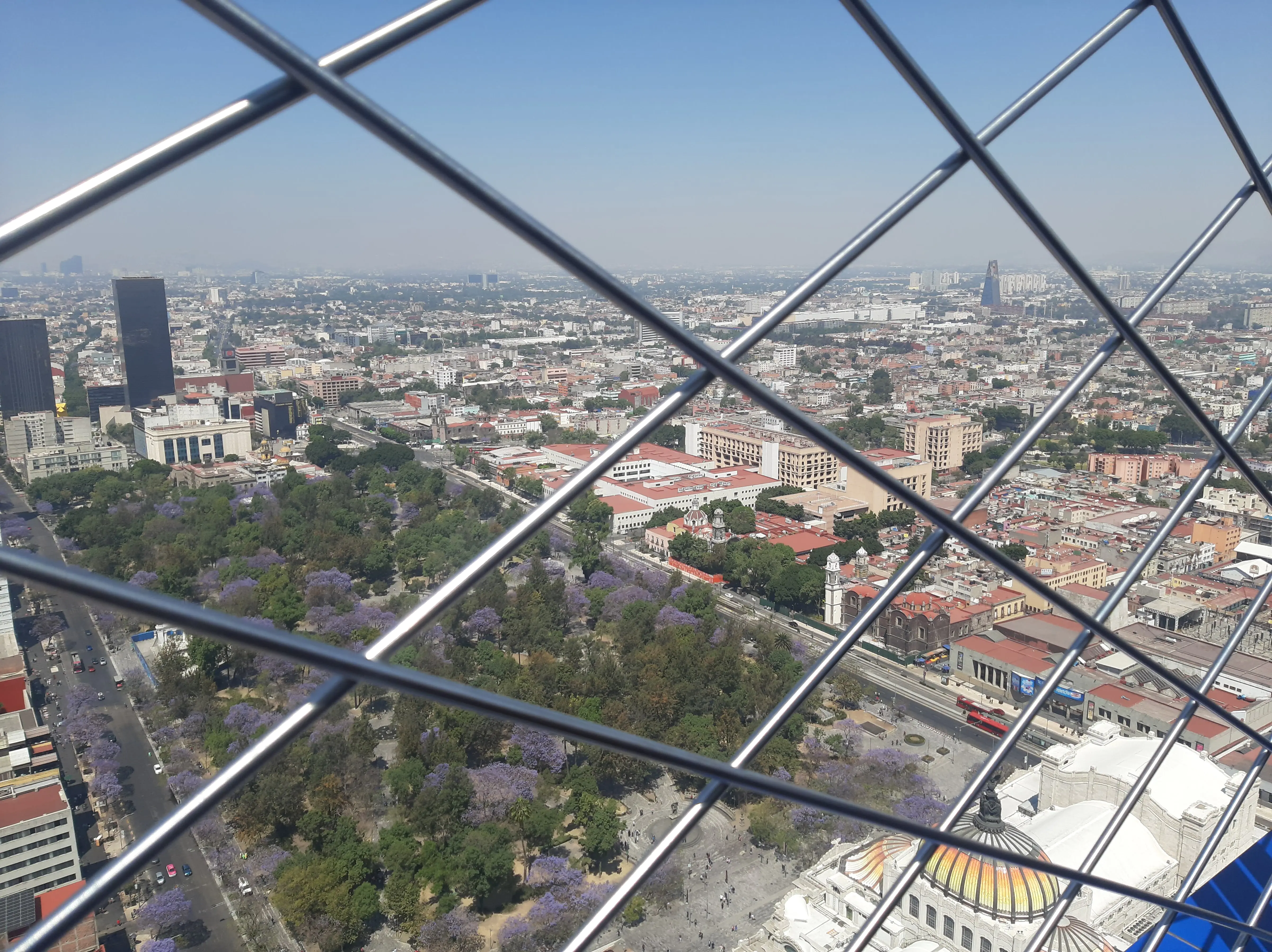 Miralto Restaurante image 10