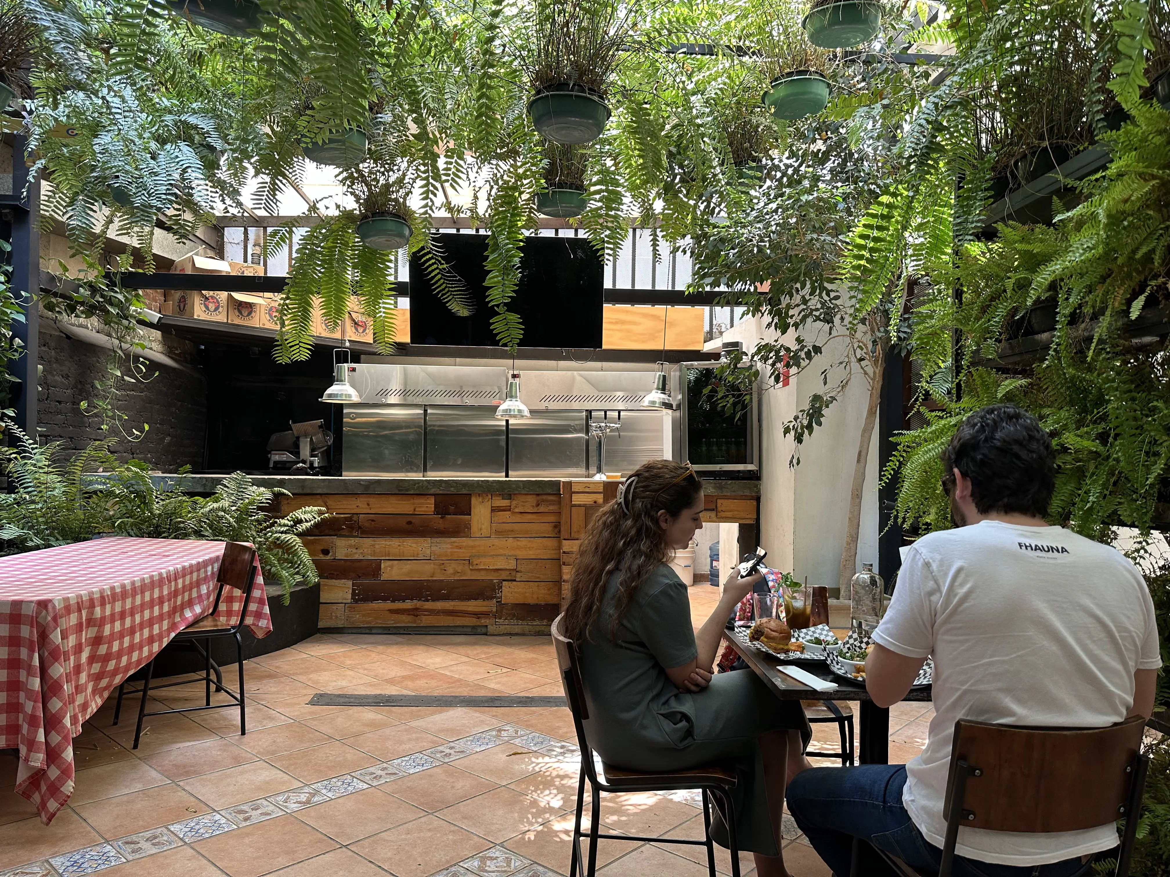 The Backyard image 6