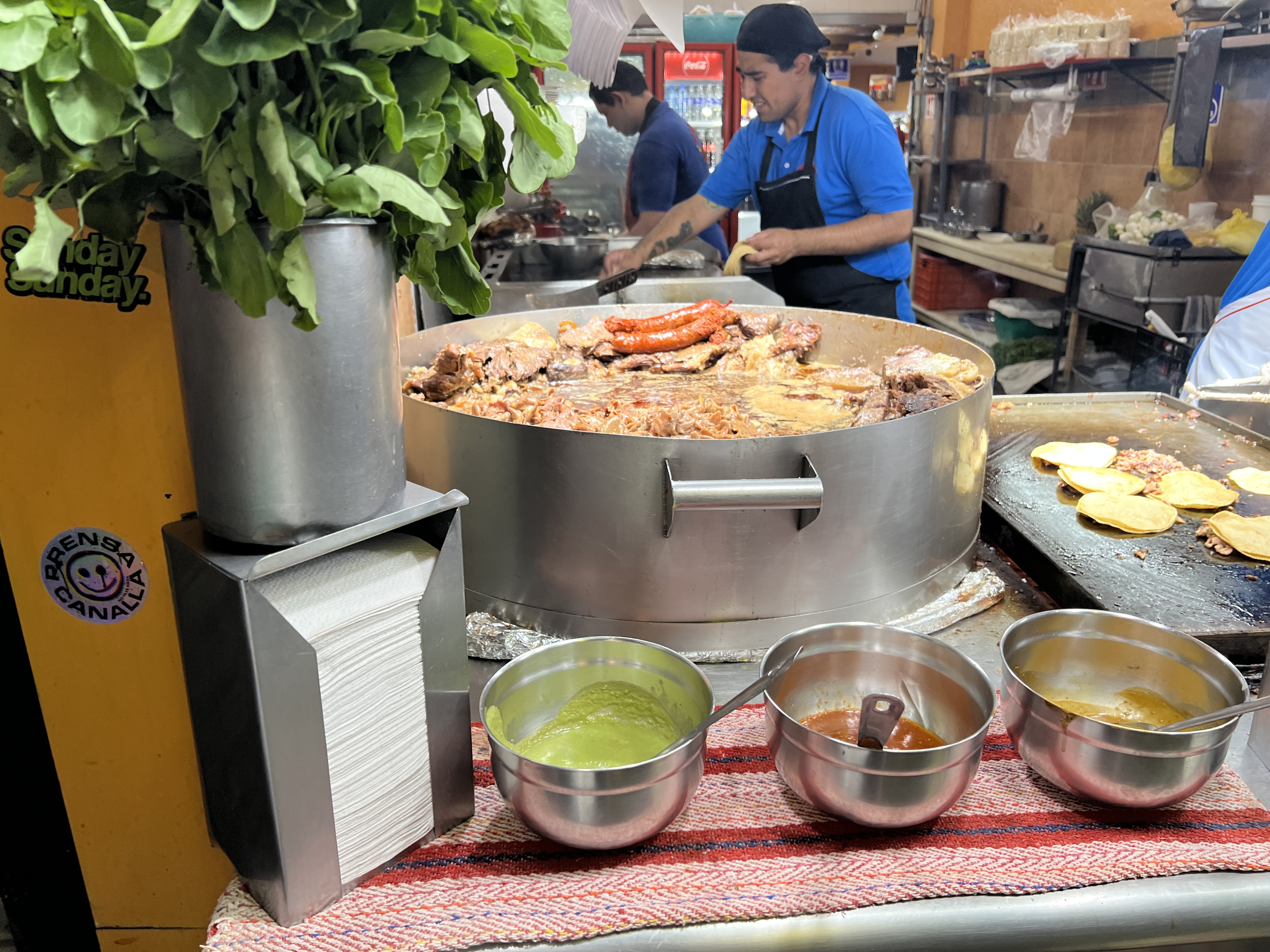 Restaurante Taquería Los Cocuyos Cdmx image 2