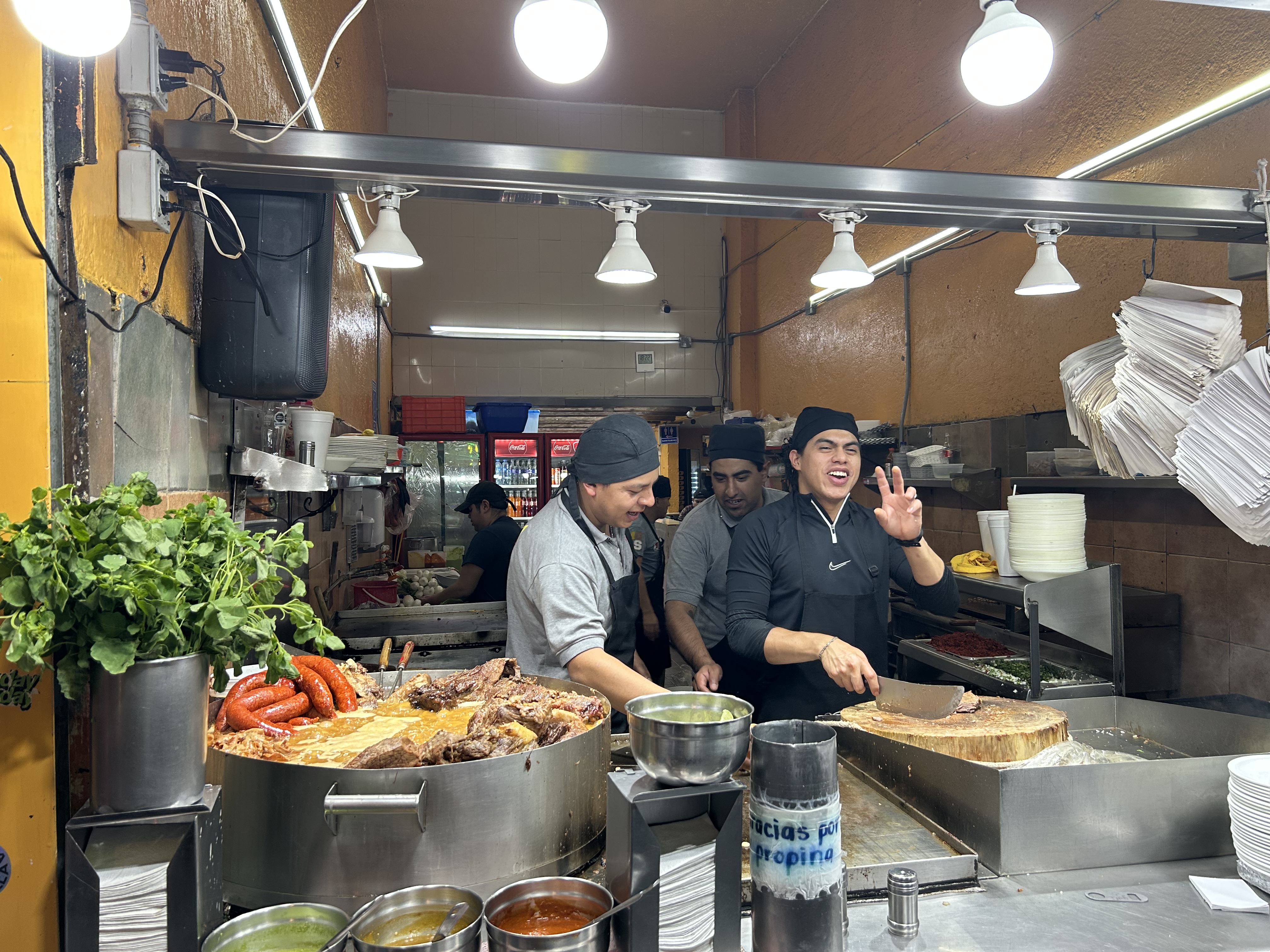 Restaurante Taquería Los Cocuyos Cdmx image 7