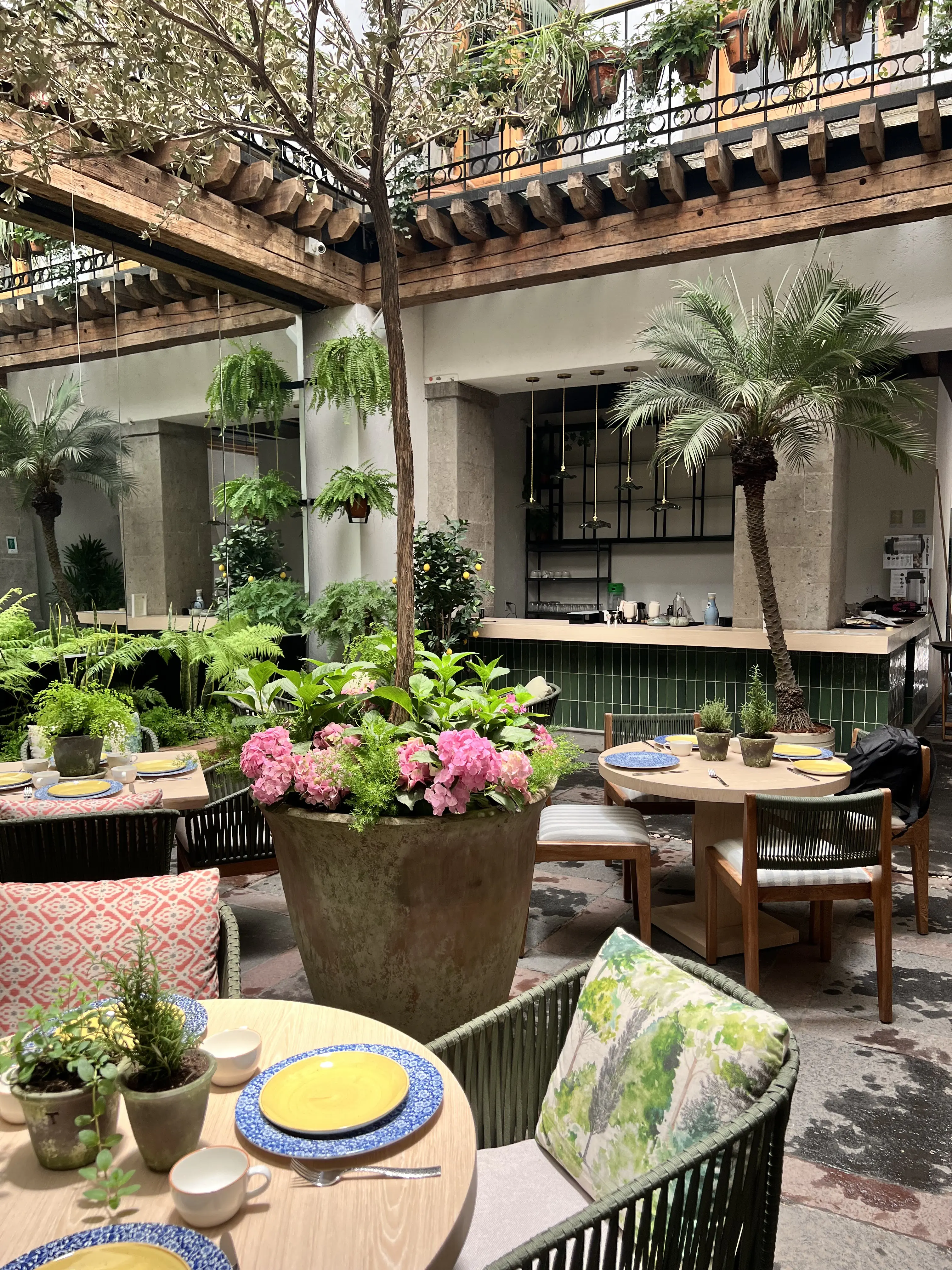 Casa Manzano Ciudad de México Restaurante image 3