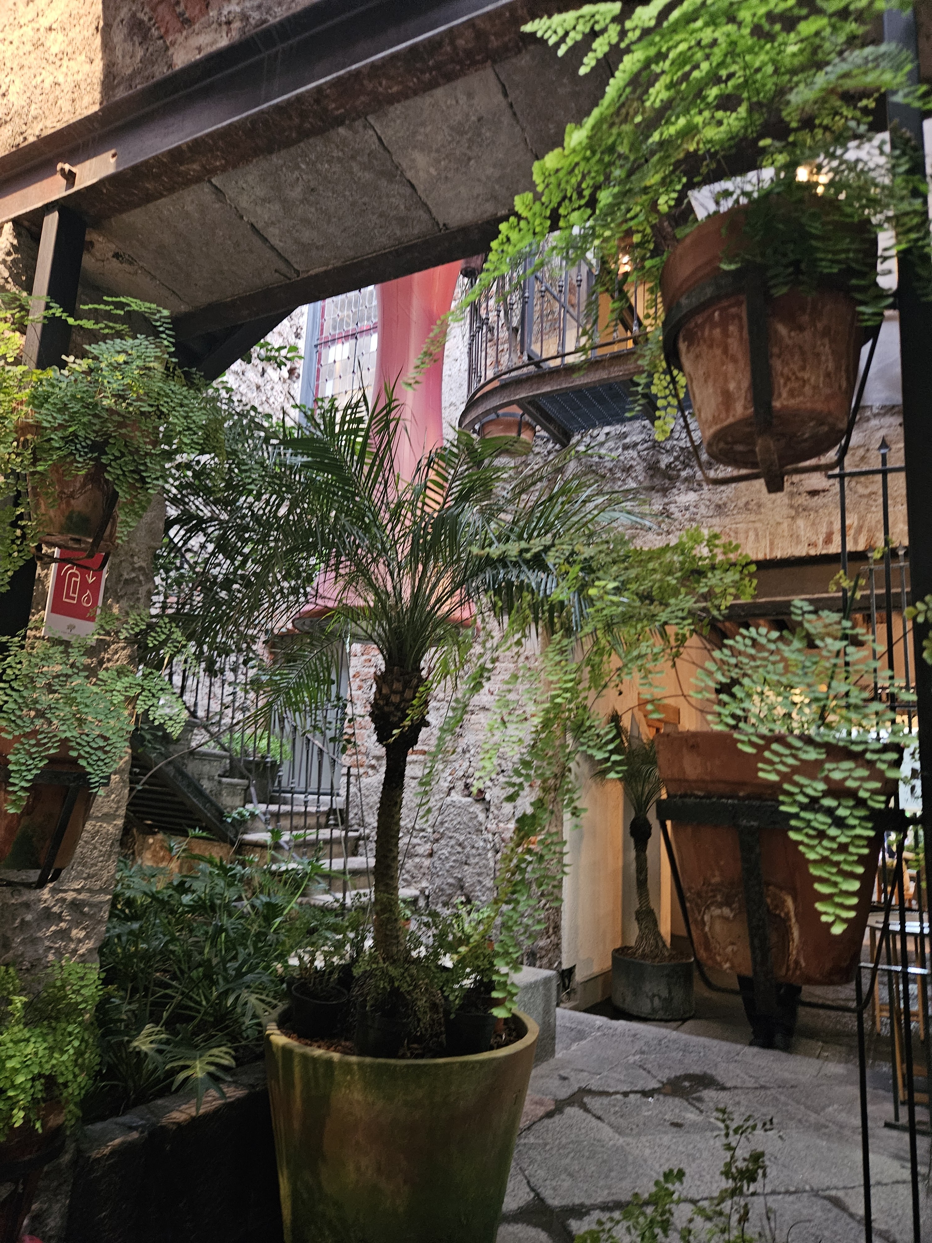 Casa Manzano Ciudad de México Restaurante image 5