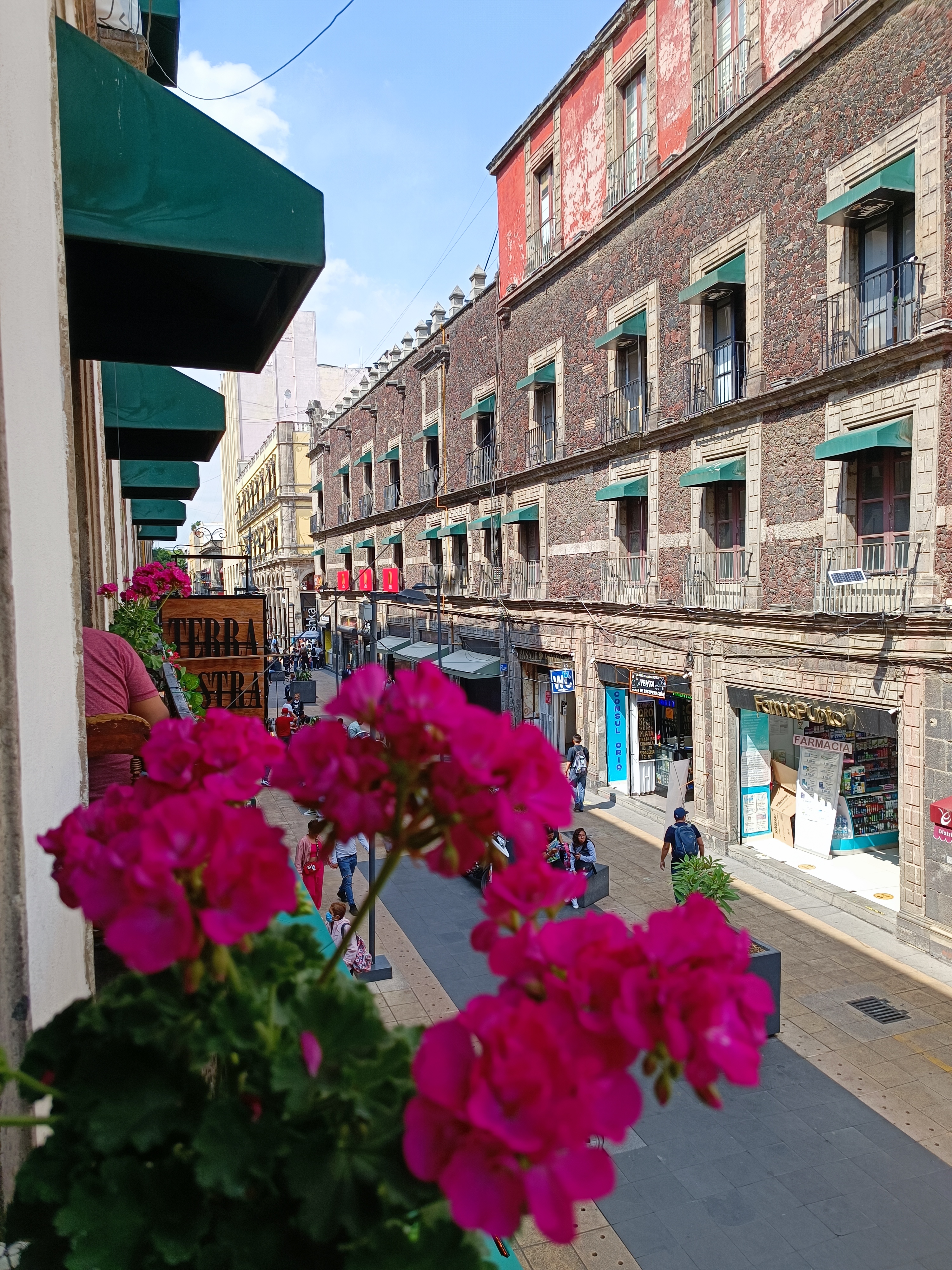 Restaurante Vegetariano Terra - Nostra image 5