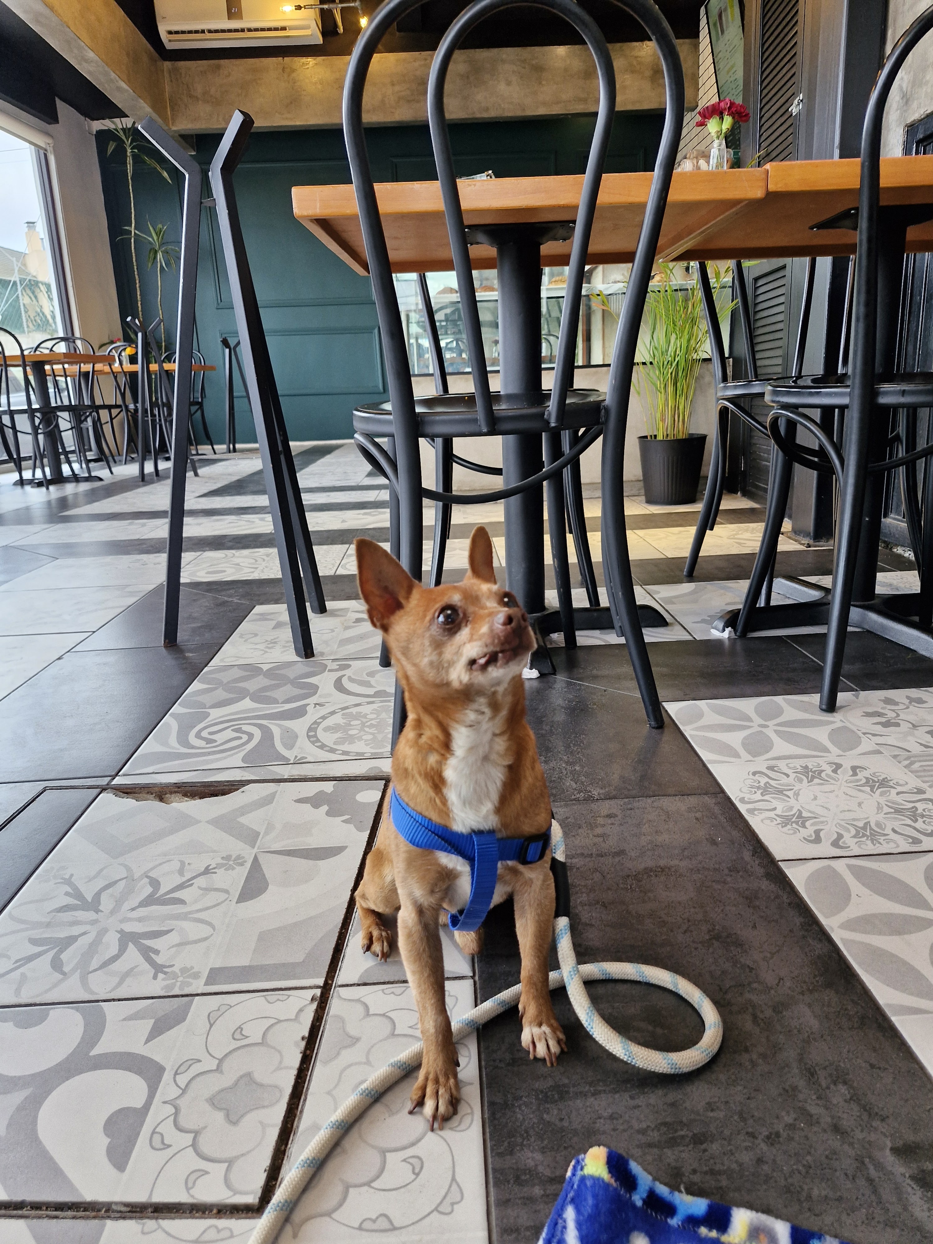 El Pan Nuestro Express - Hipódromo image 7