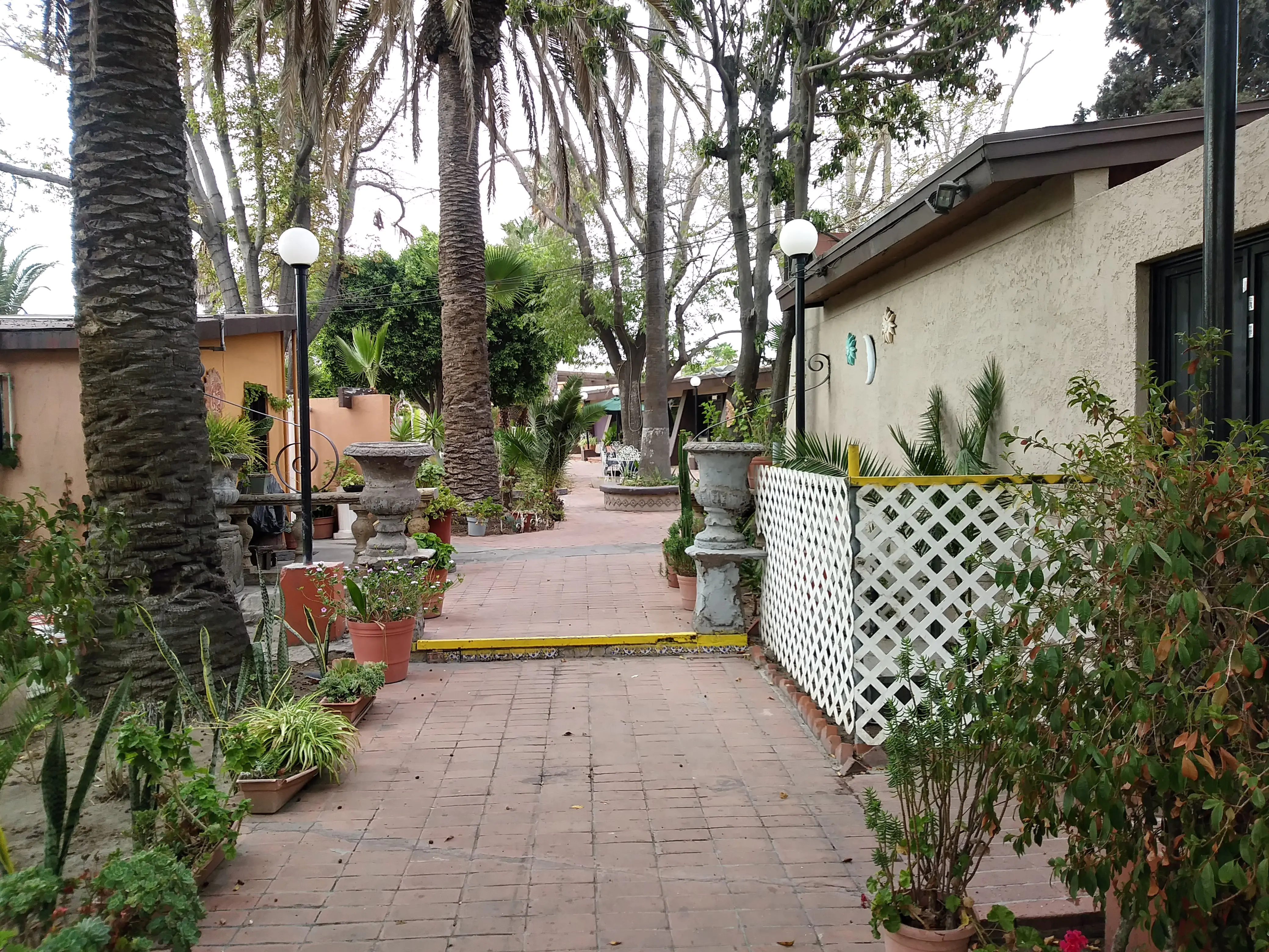 La Escondida de Tijuana S.A. de C.V. image 6