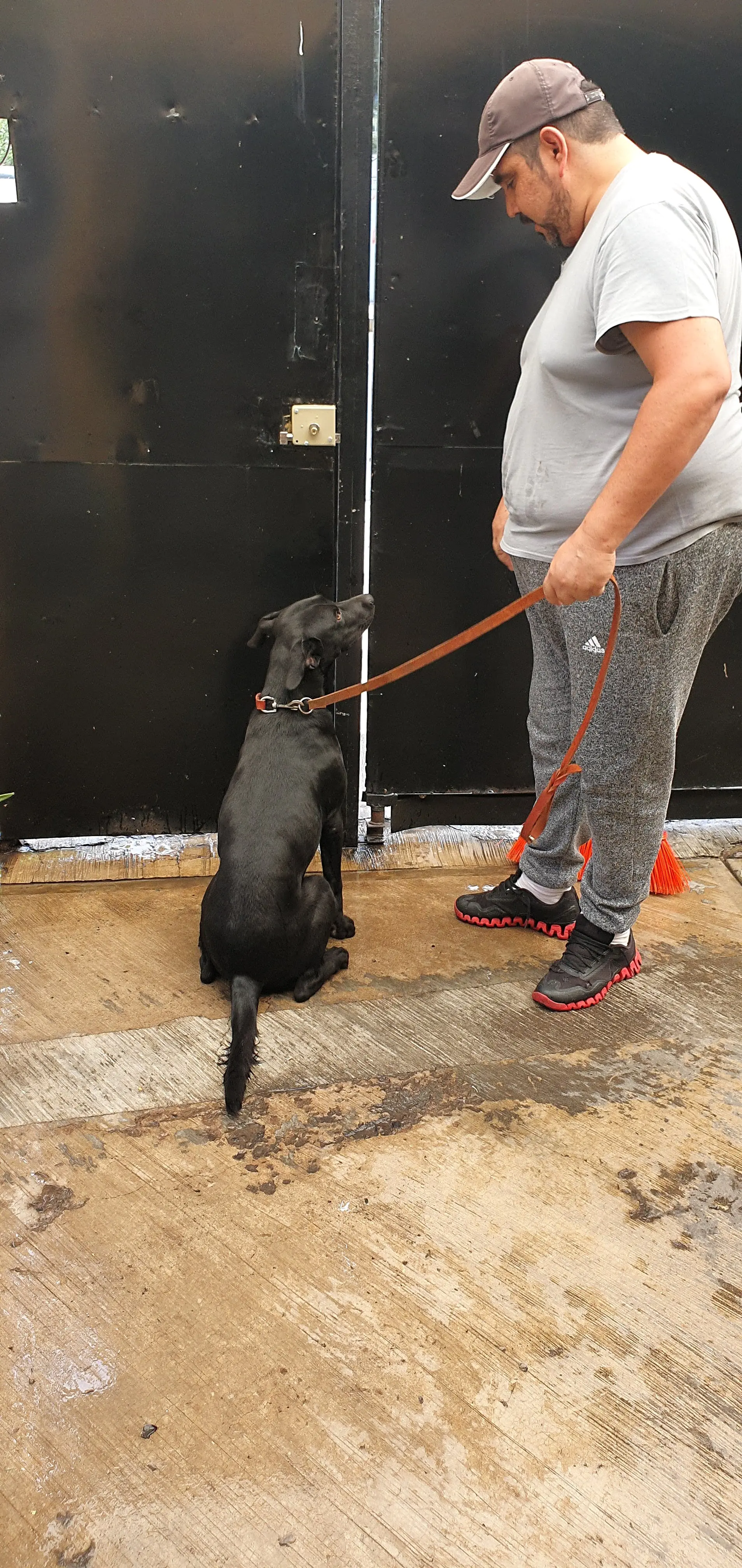 La Dolce Vita image 4