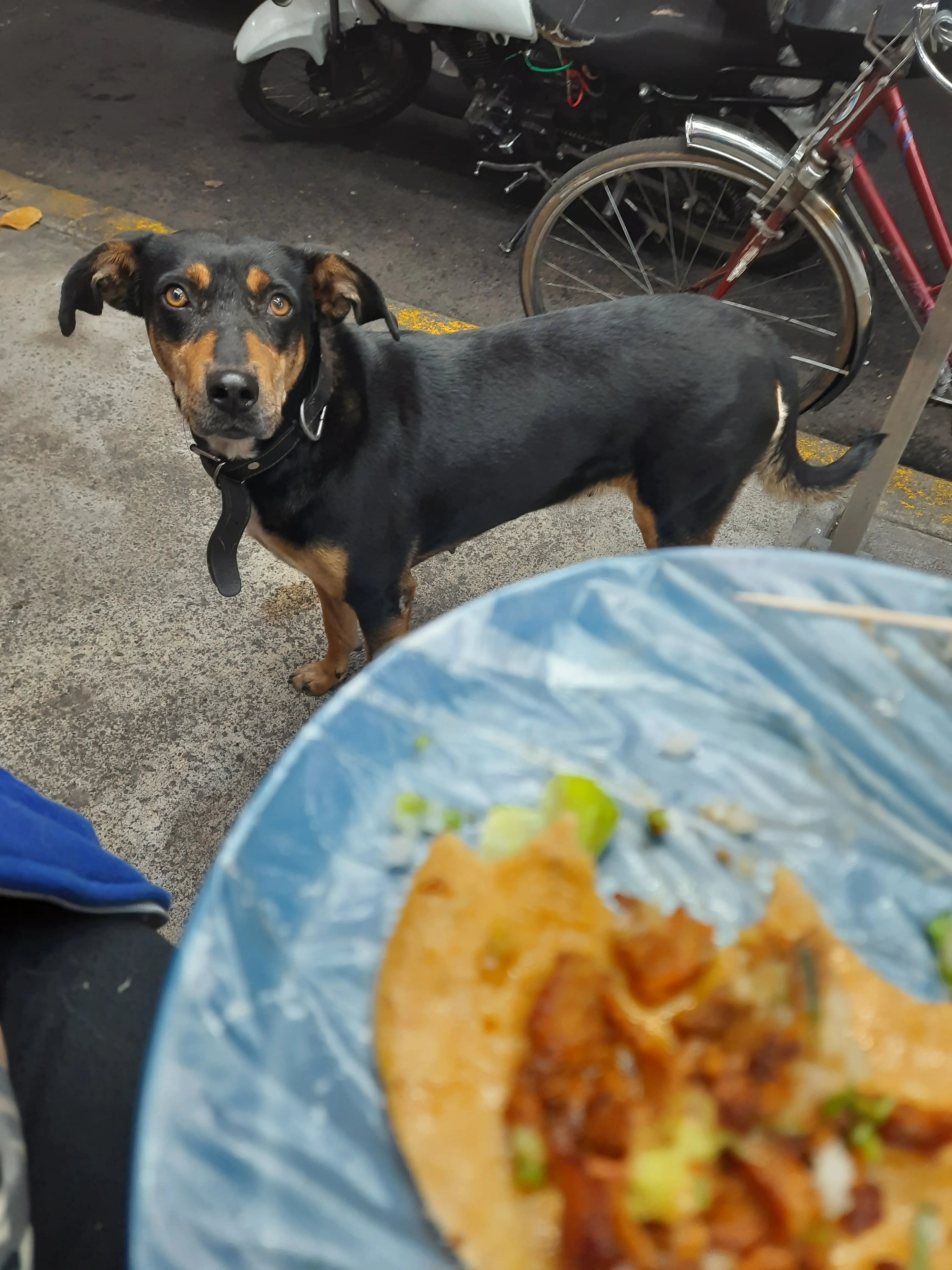 Taqueria la Curva image 5