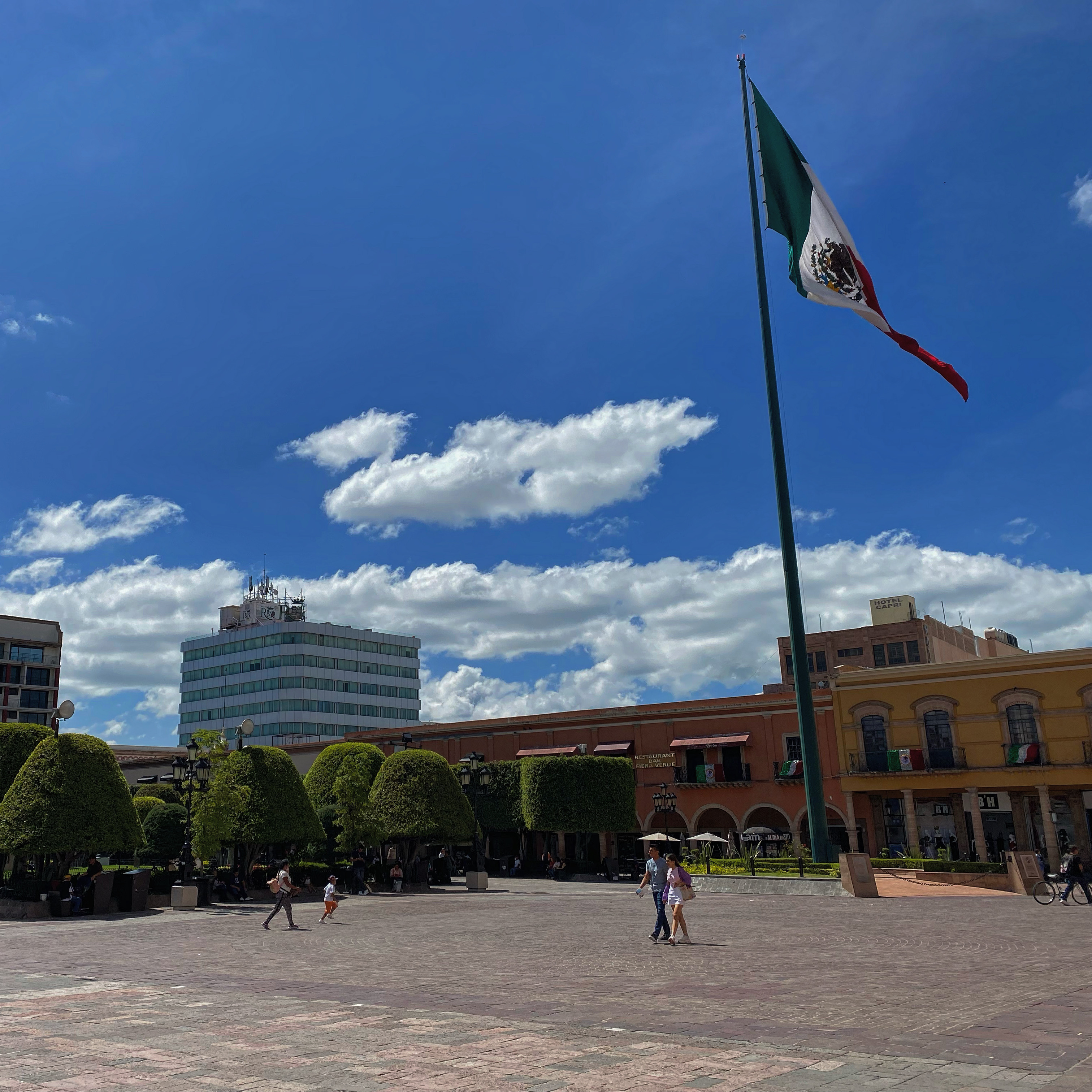 Fiera Verde Restaurante-bar image 6