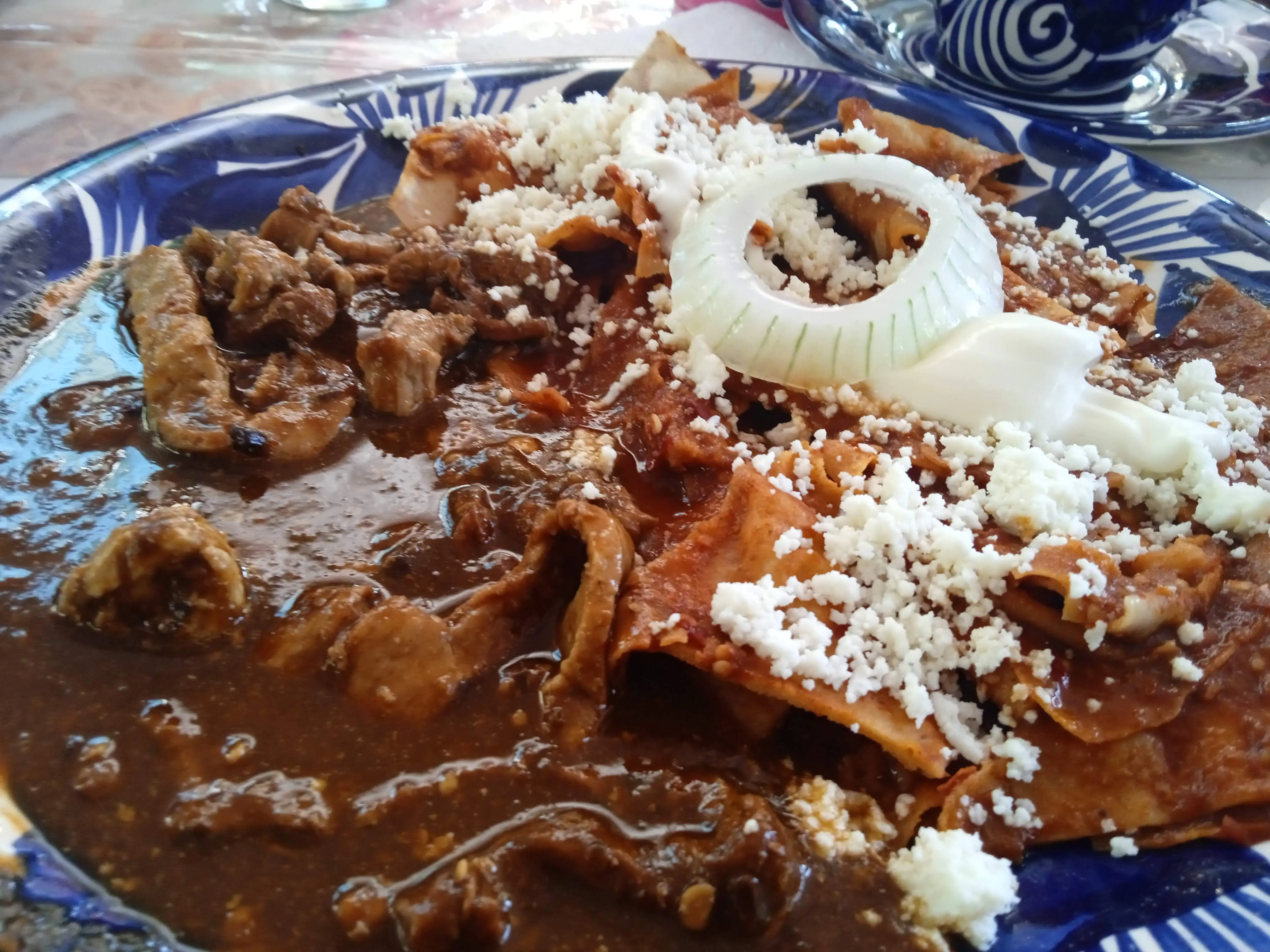 El Jardín de Bugambilias image 1