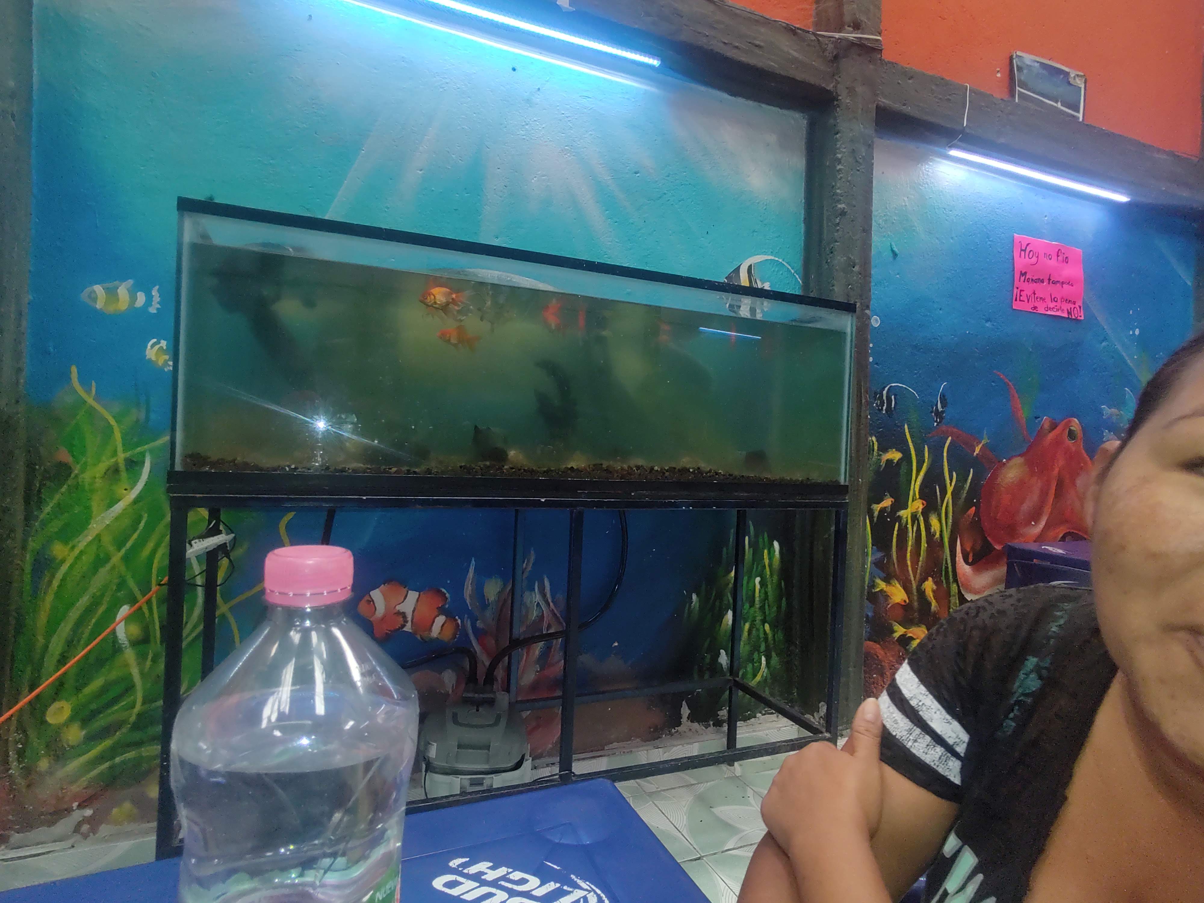 Restaurant Y Mariscos Raúl image 2