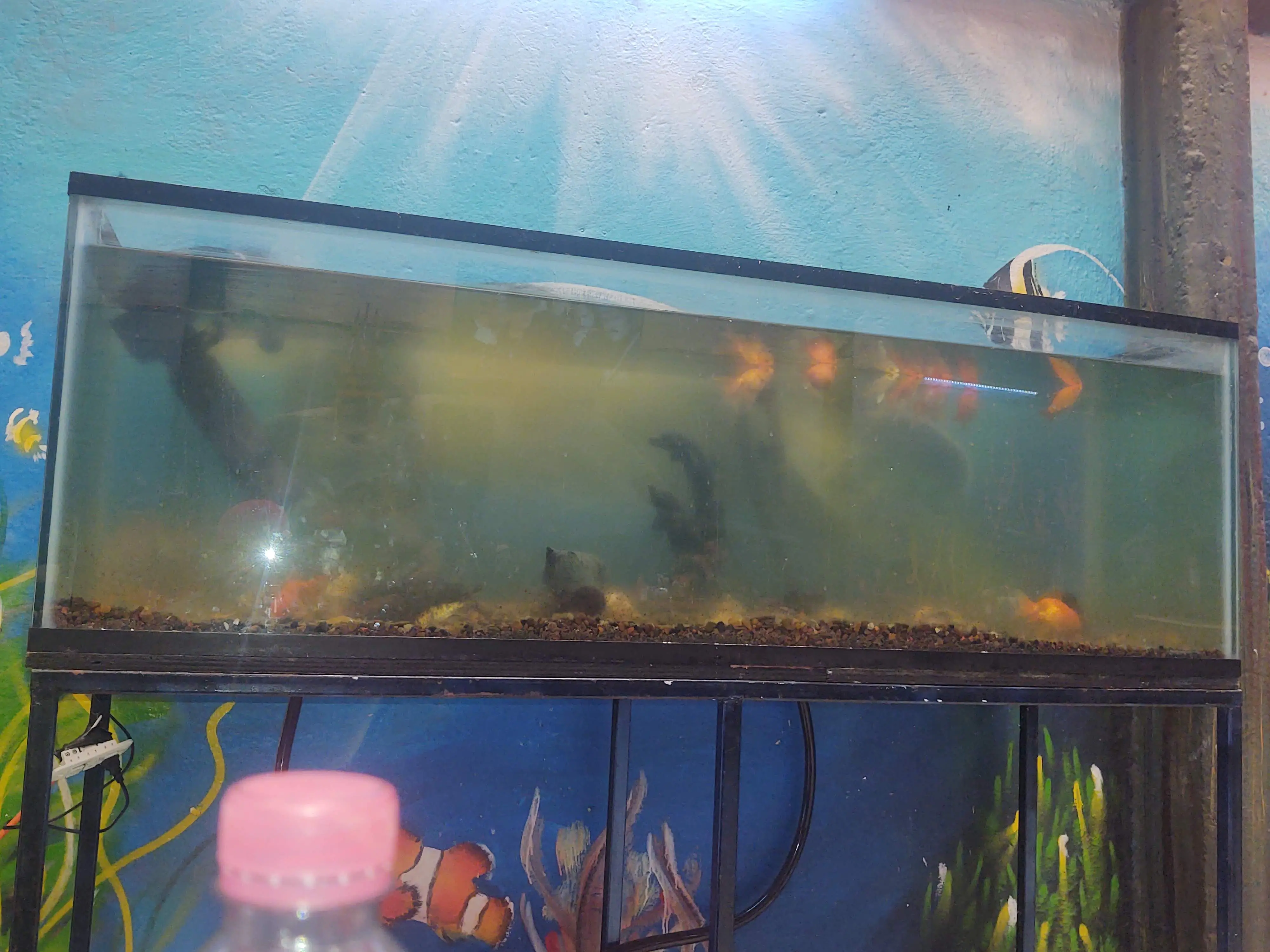 Restaurant Y Mariscos Raúl image 9