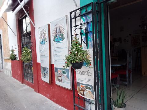 El Mate image 1