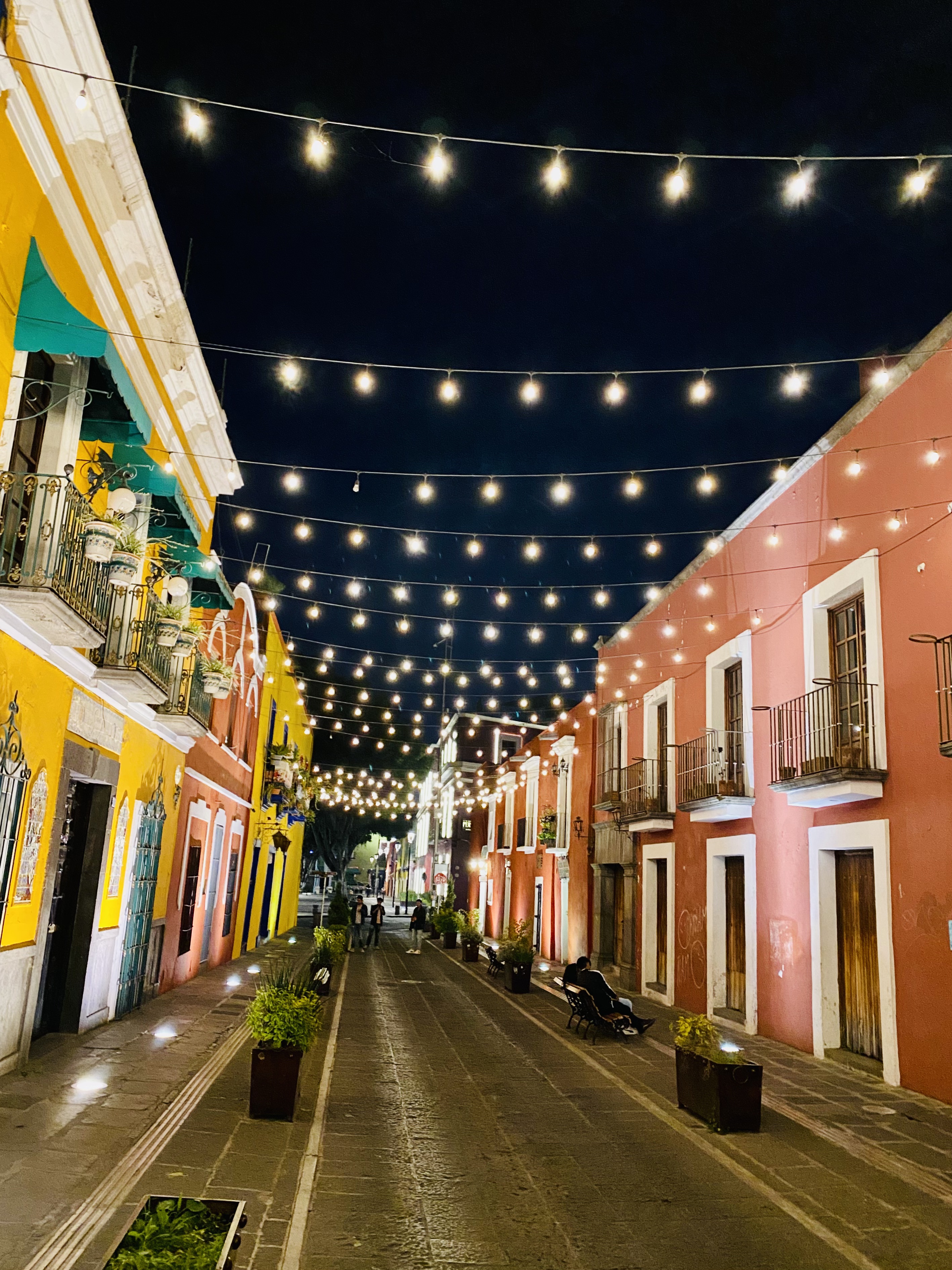 LA BERENJENA CENTRO image 6