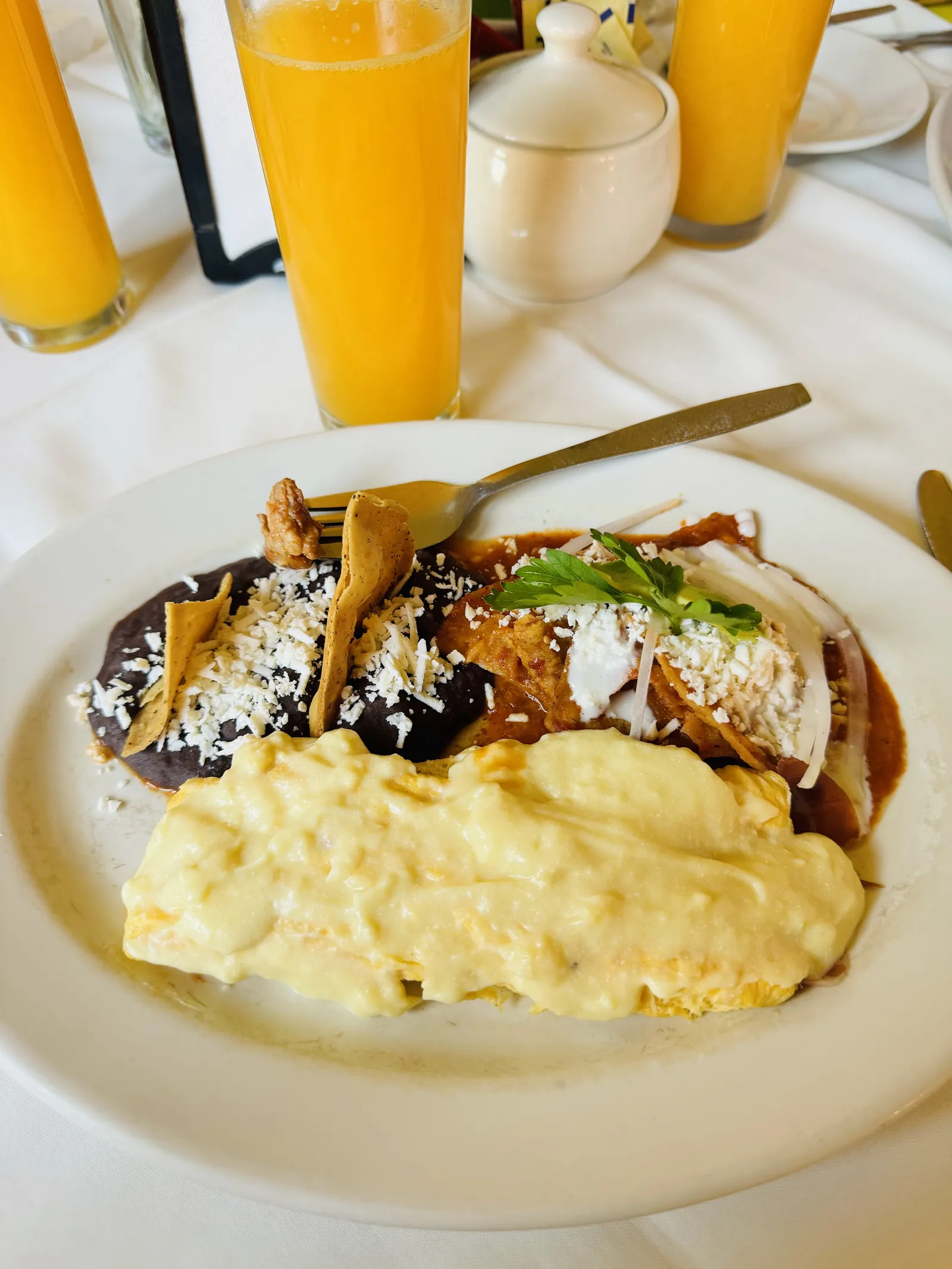 Los Agaves image 9