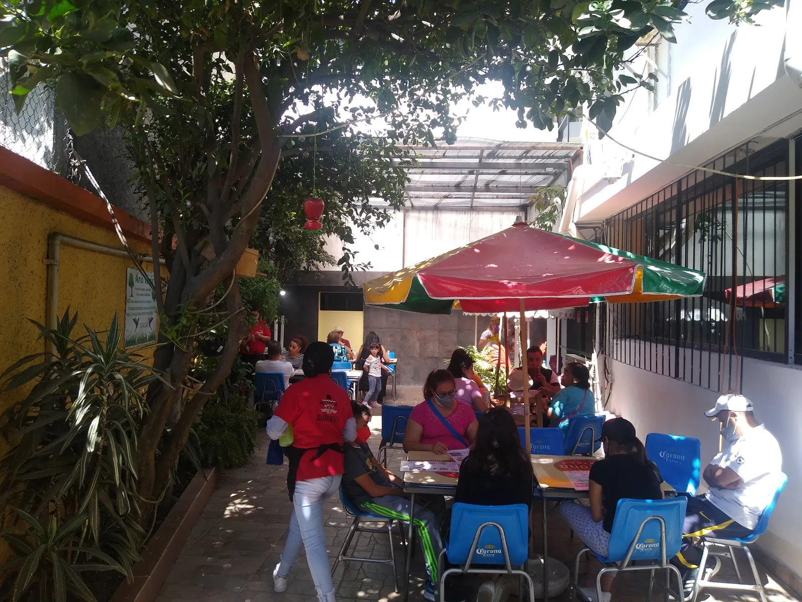 Huarachetes image 8