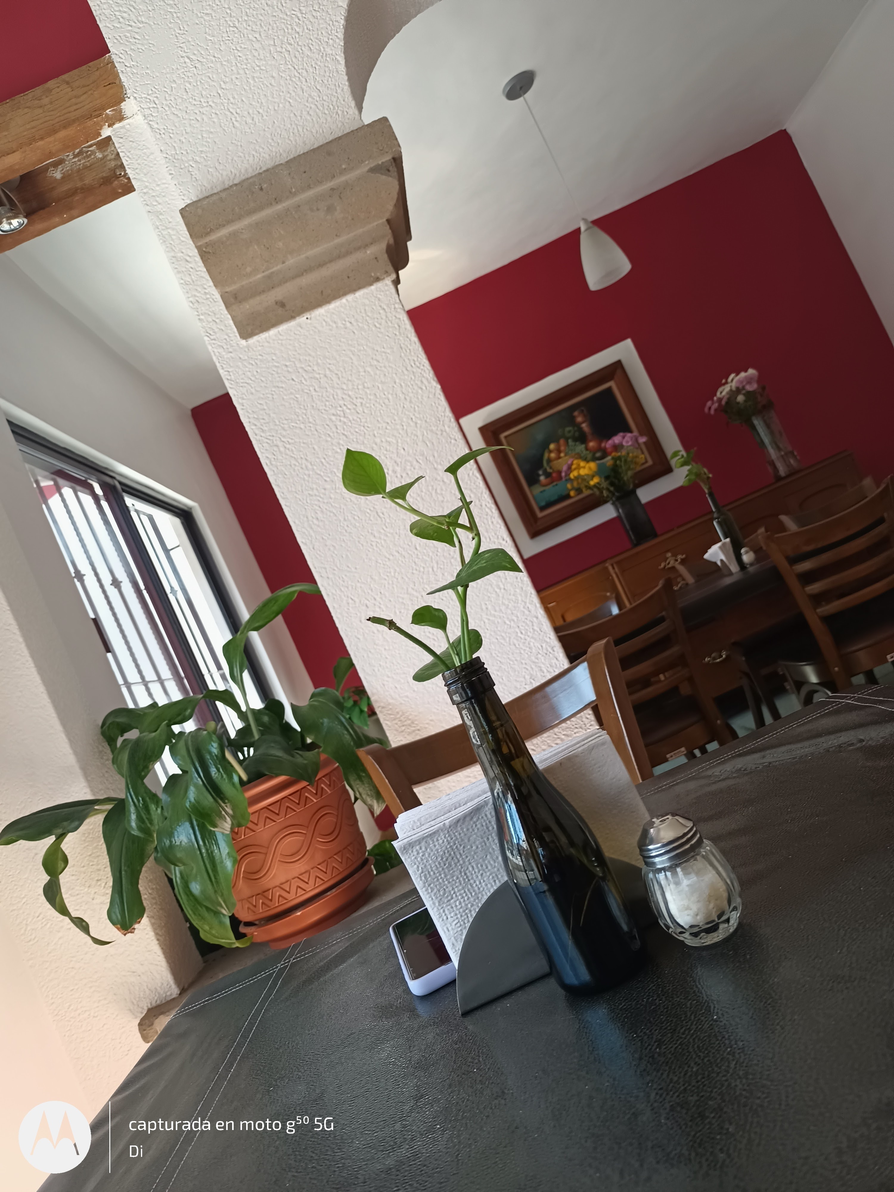 La Casa de Pedro y Sara image 7