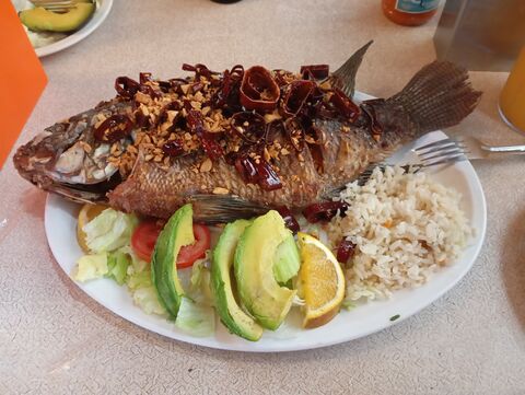 Mariscos la "Y" Griega image 7