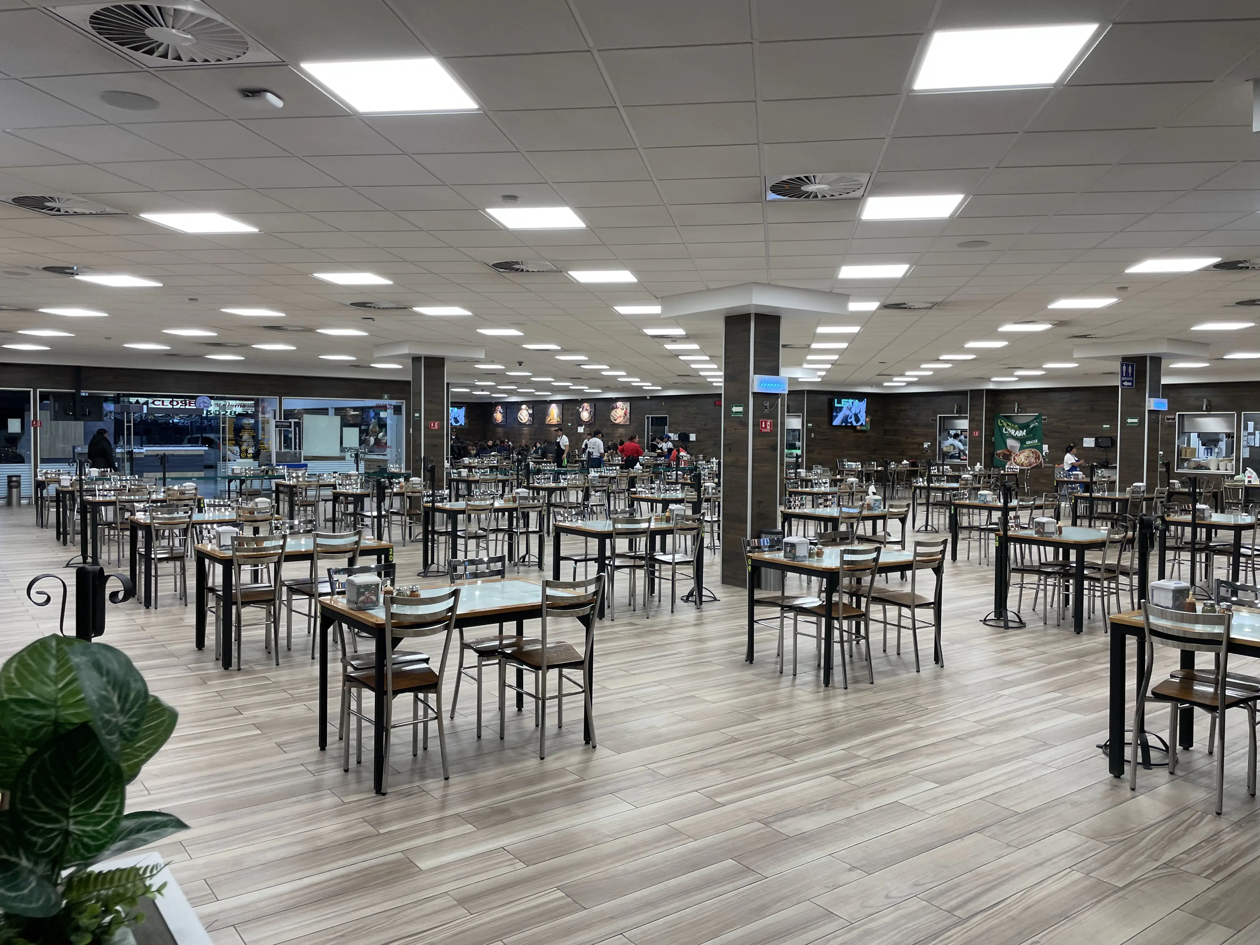 La Casa de Toño image 9