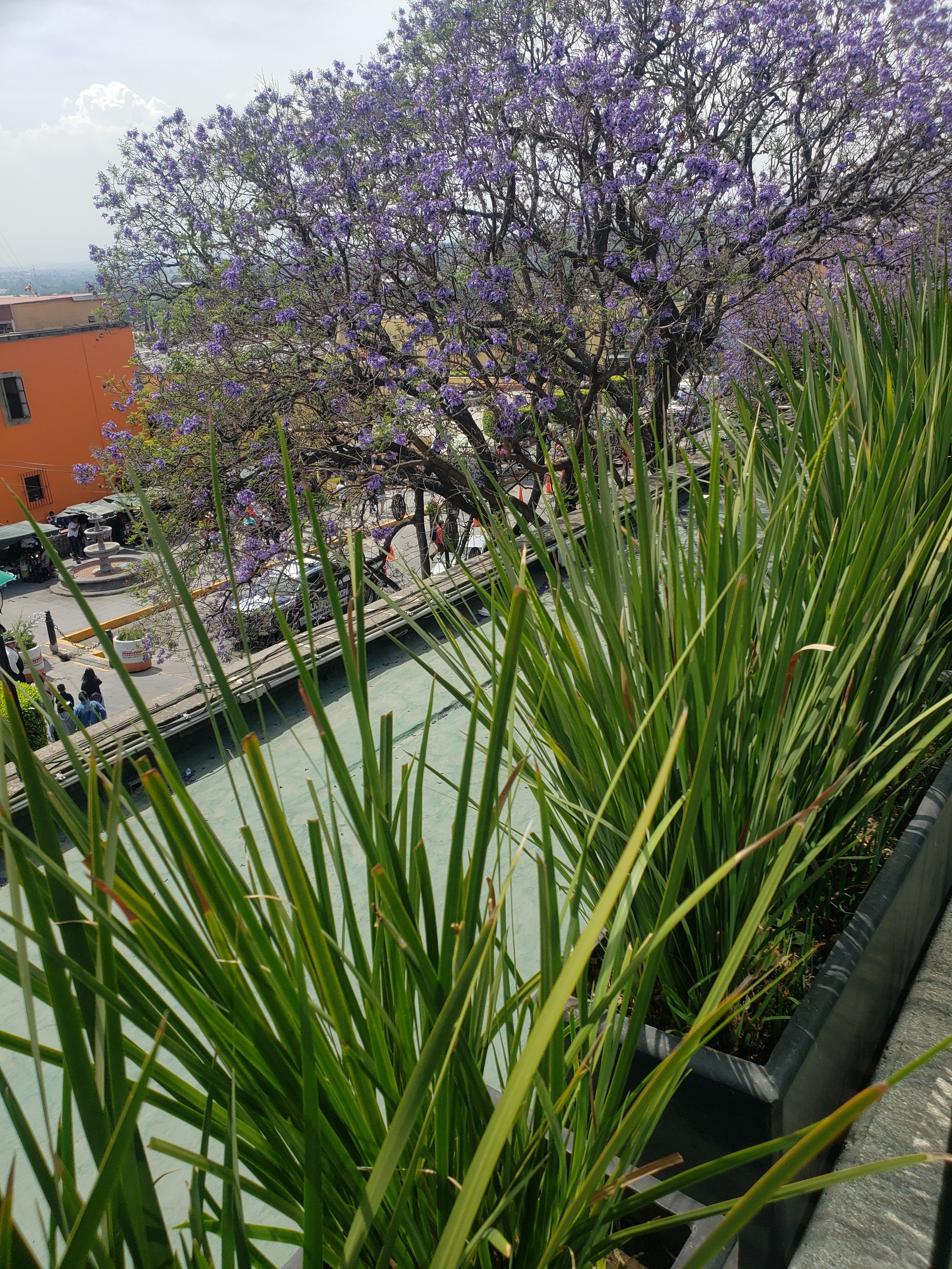 La Terraza Restaurante image 1