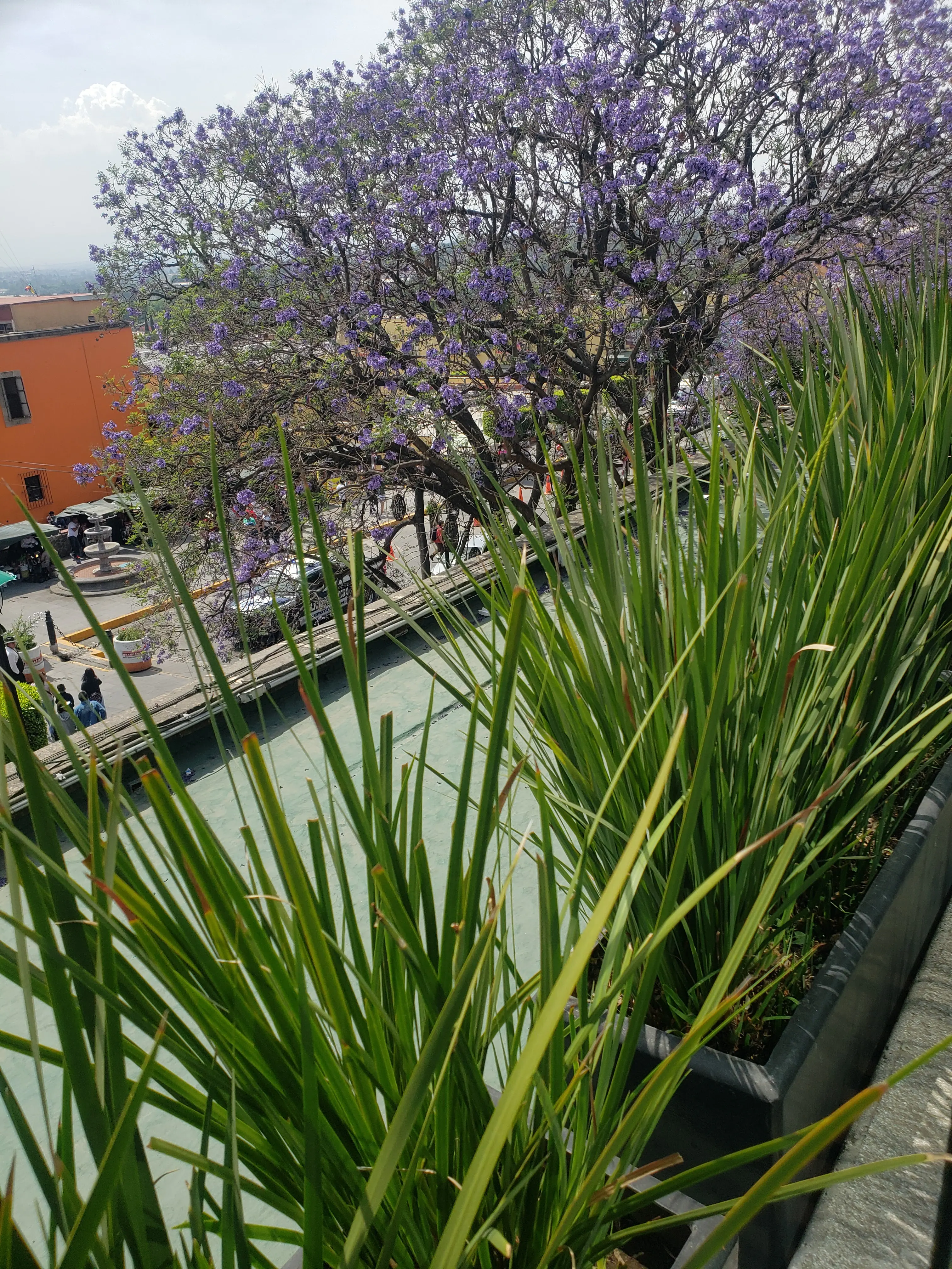 La Terraza Restaurante image 1