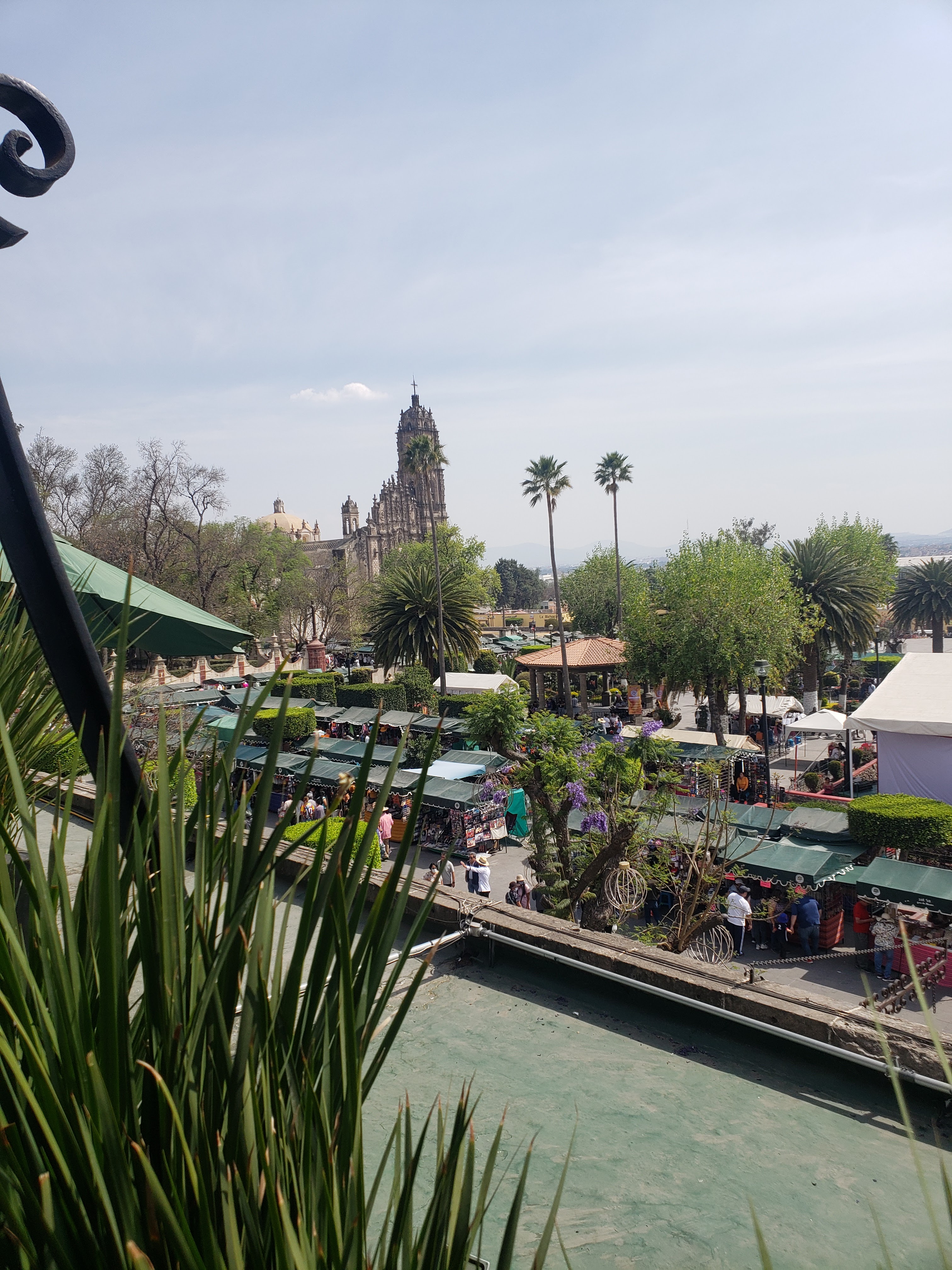 La Terraza Restaurante image 2