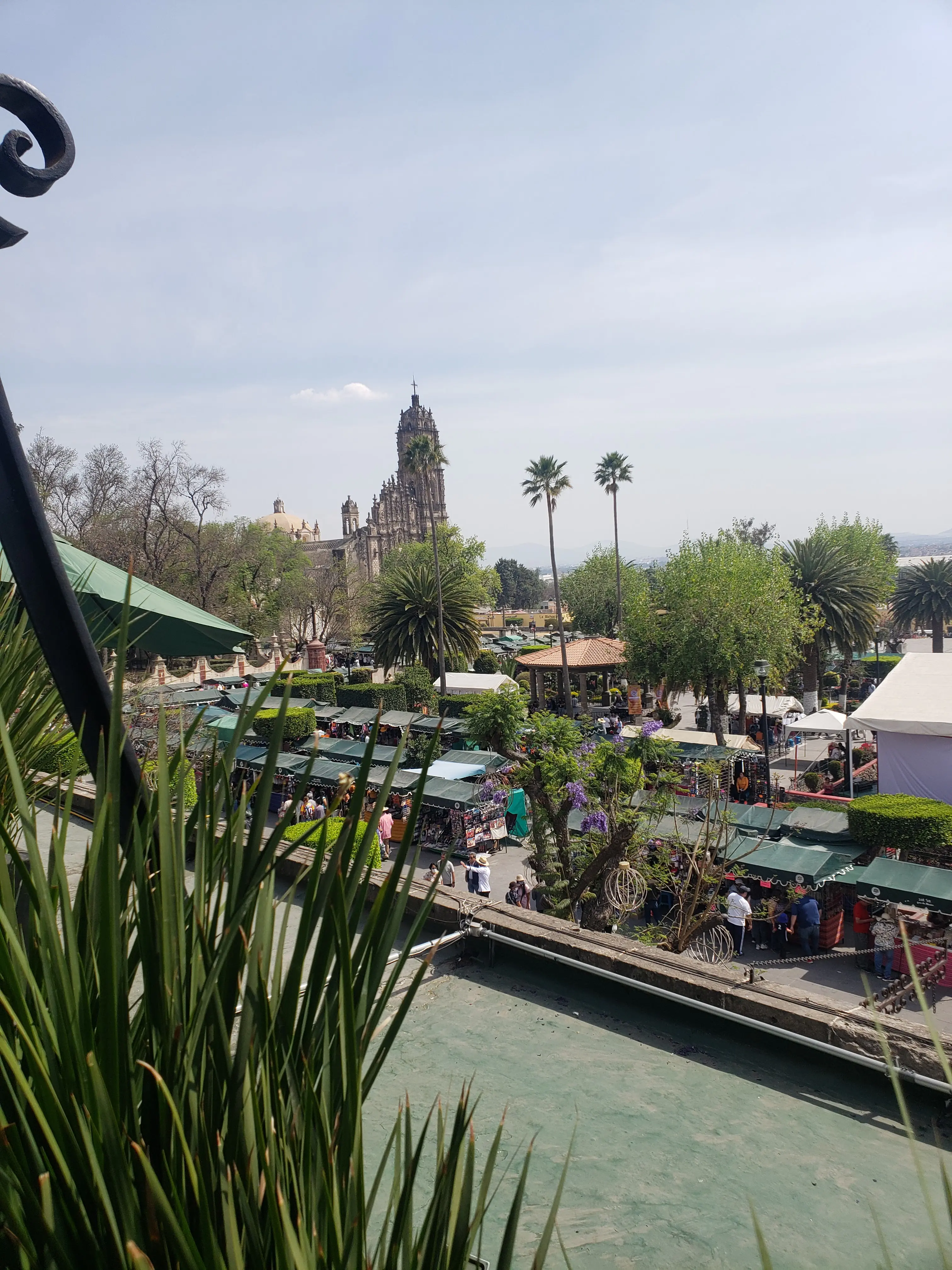 La Terraza Restaurante image 2
