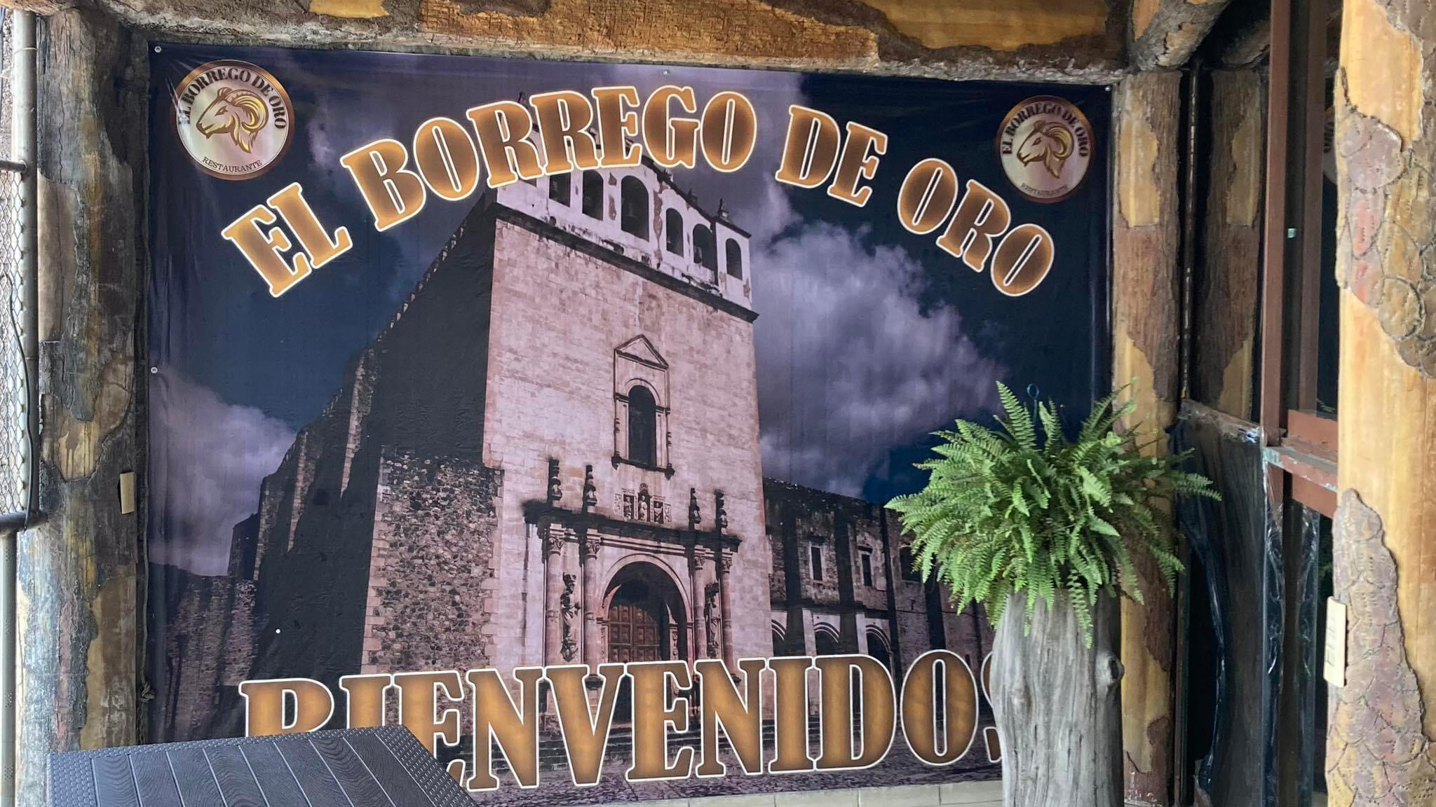 El Borrego de Oro image 3