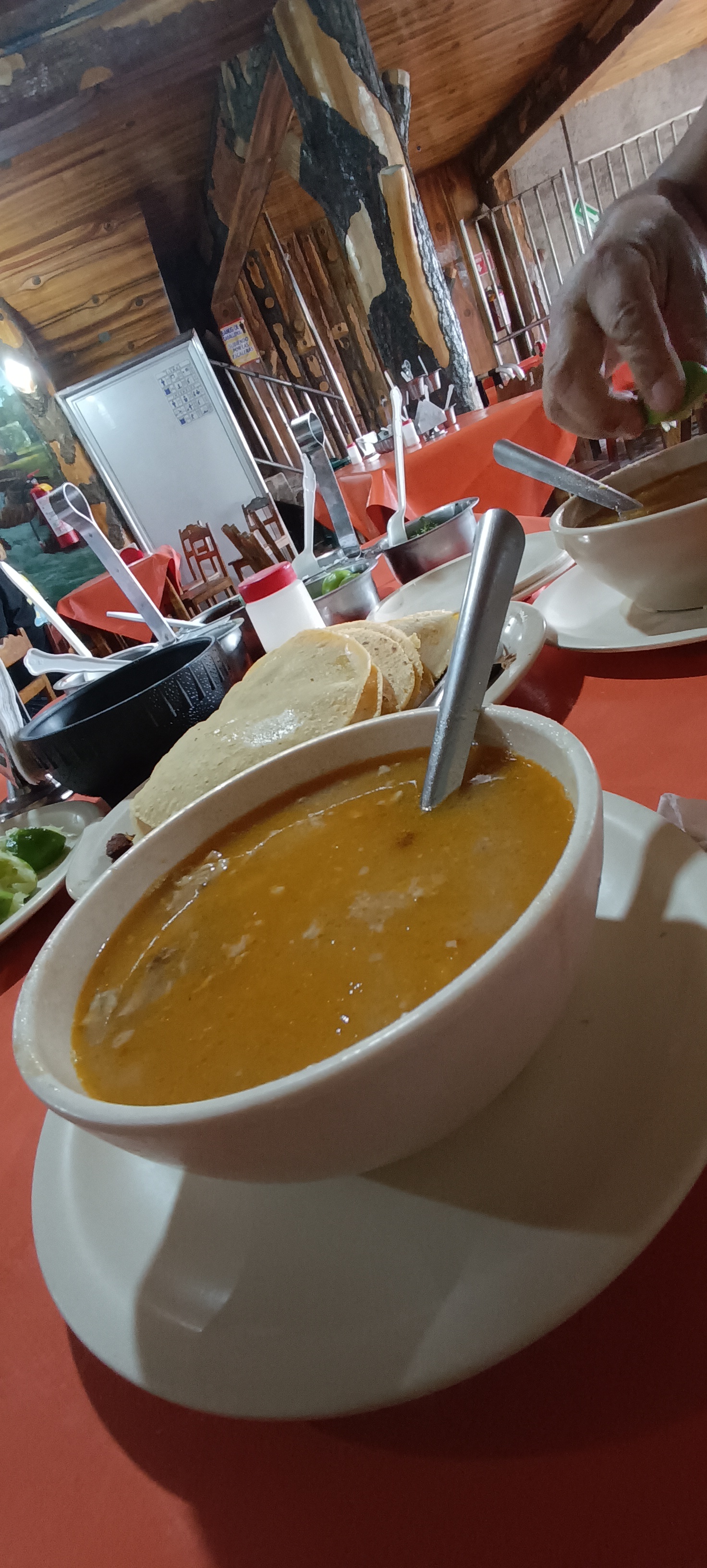 El Borrego de Oro image 5