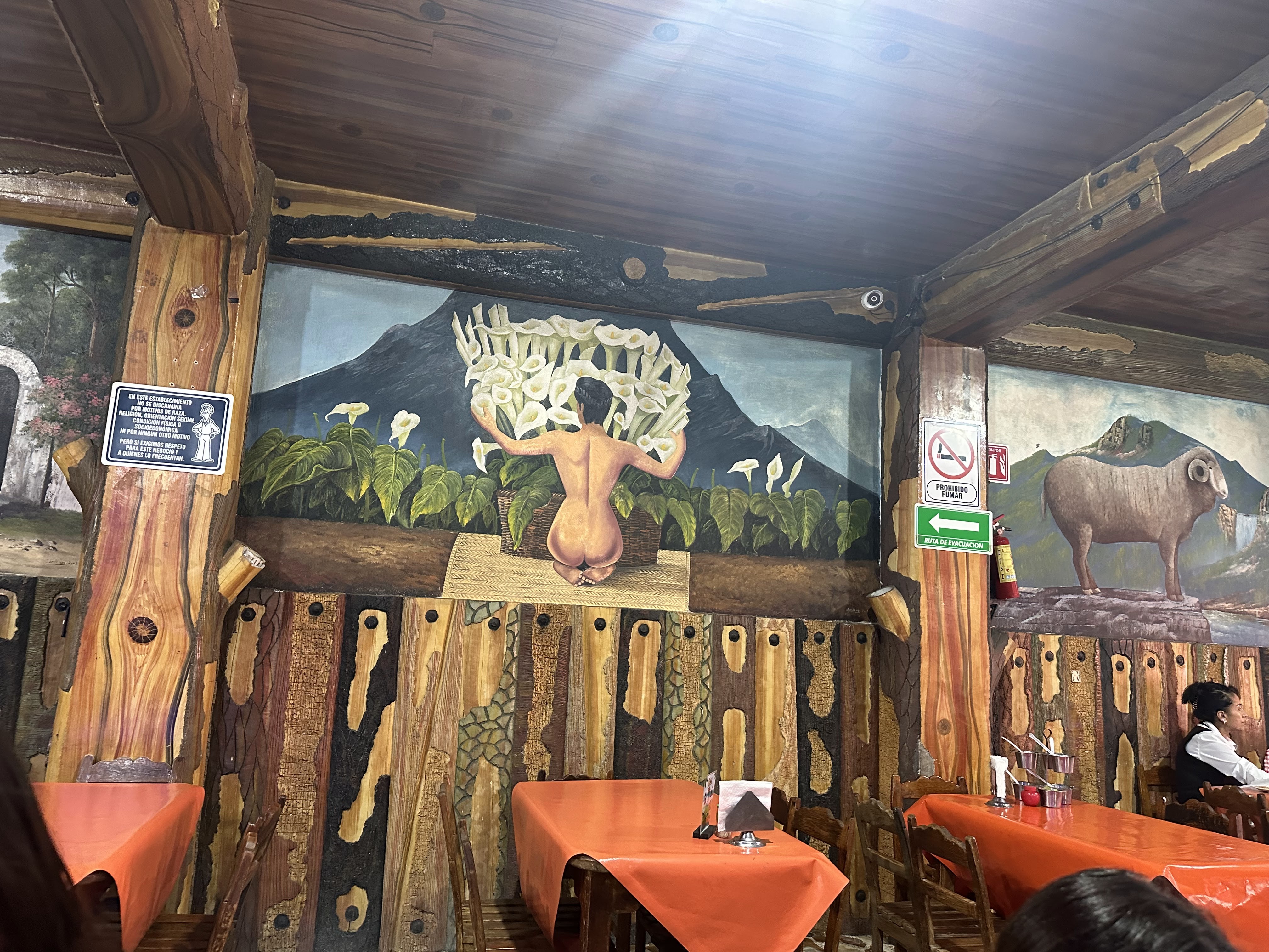 El Borrego de Oro image 9