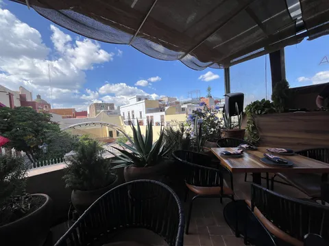 Carola image 4