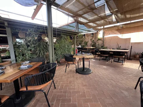 Carola image 5