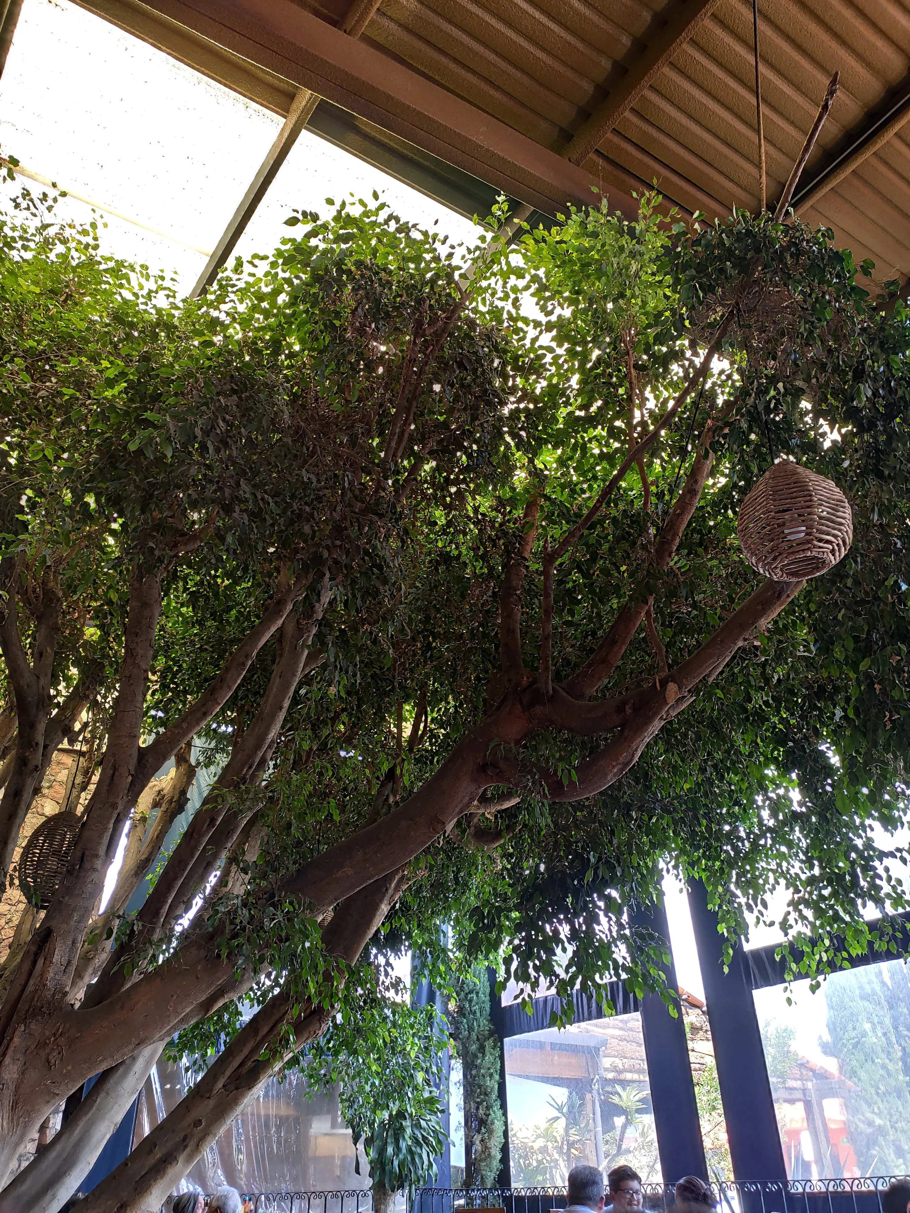 Restaurante Asadero GranD Querétaro image 9