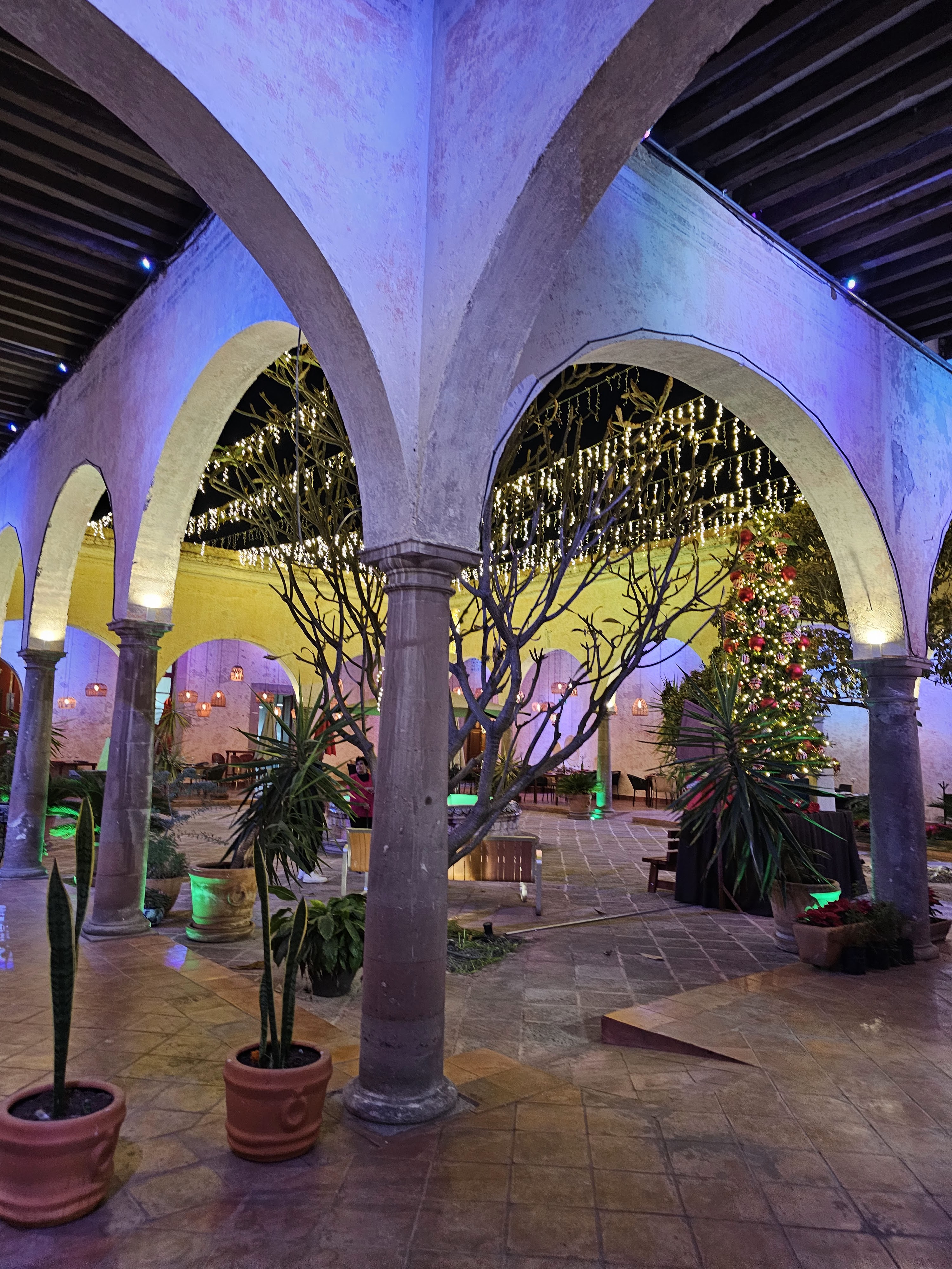 TALAVERA RESTAURANTE image 3