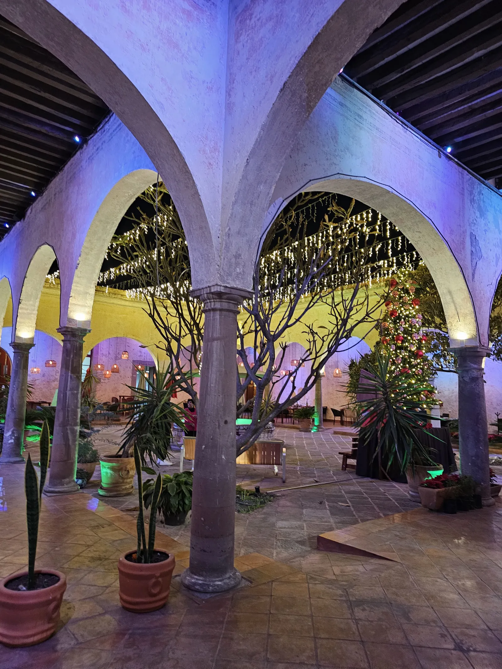 TALAVERA RESTAURANTE image 3