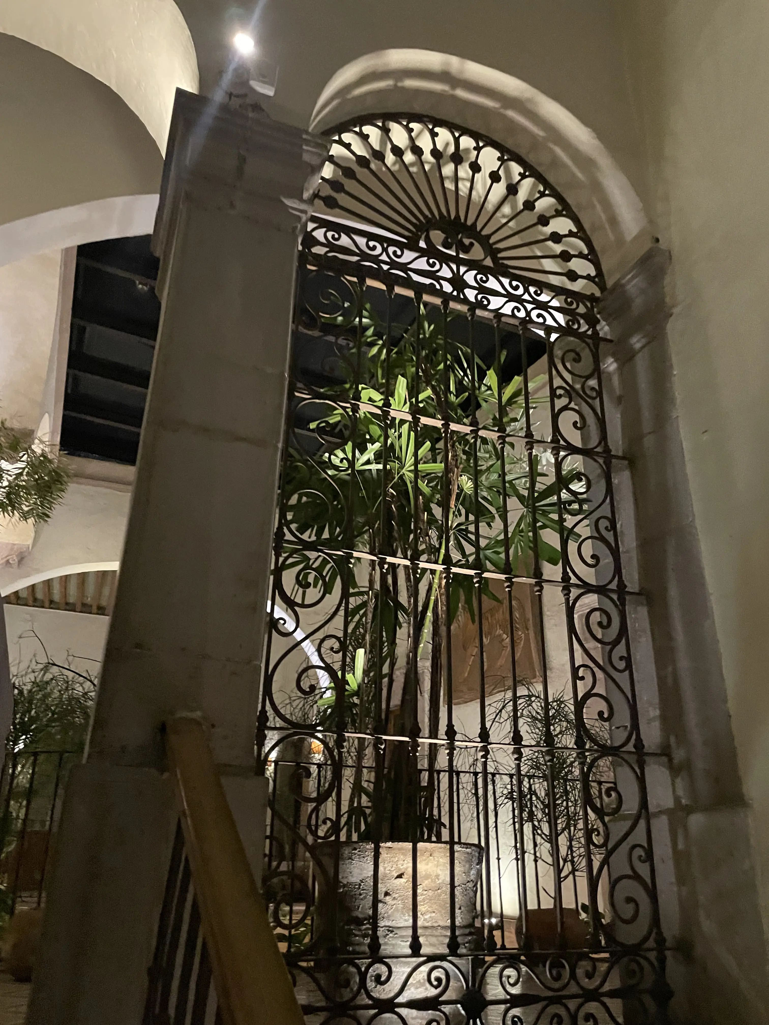 Di Vino Italian Restaurant image 8