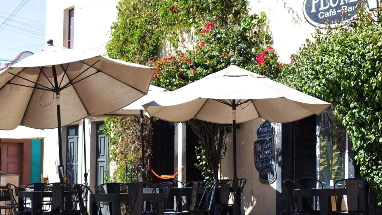 Pluma Cafe Bar image 1