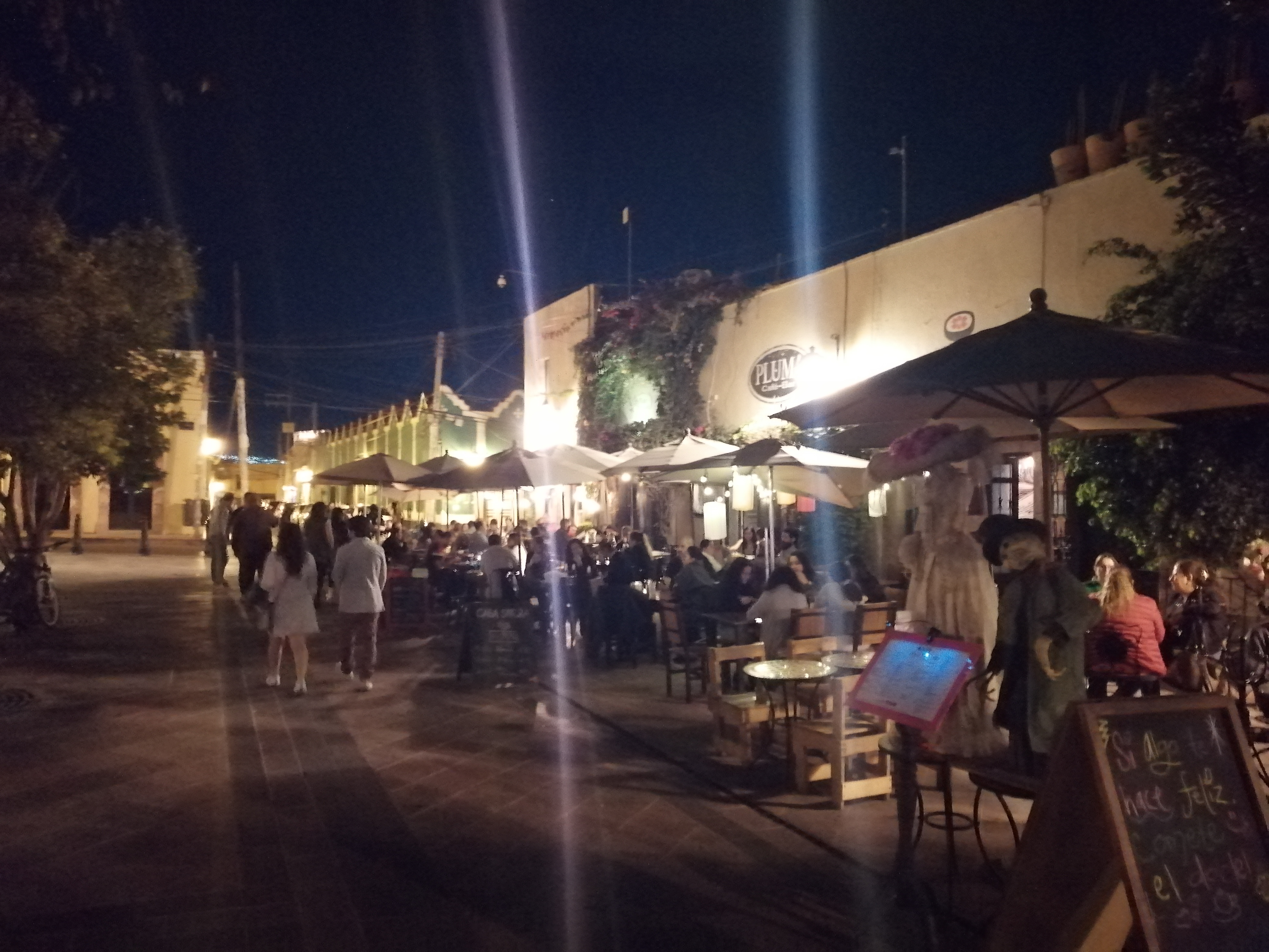 Pluma Cafe Bar image 9