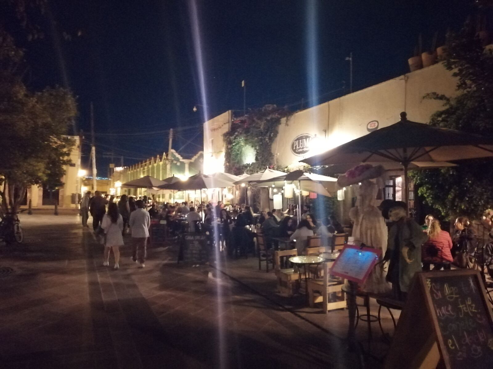 Pluma Cafe Bar image 9