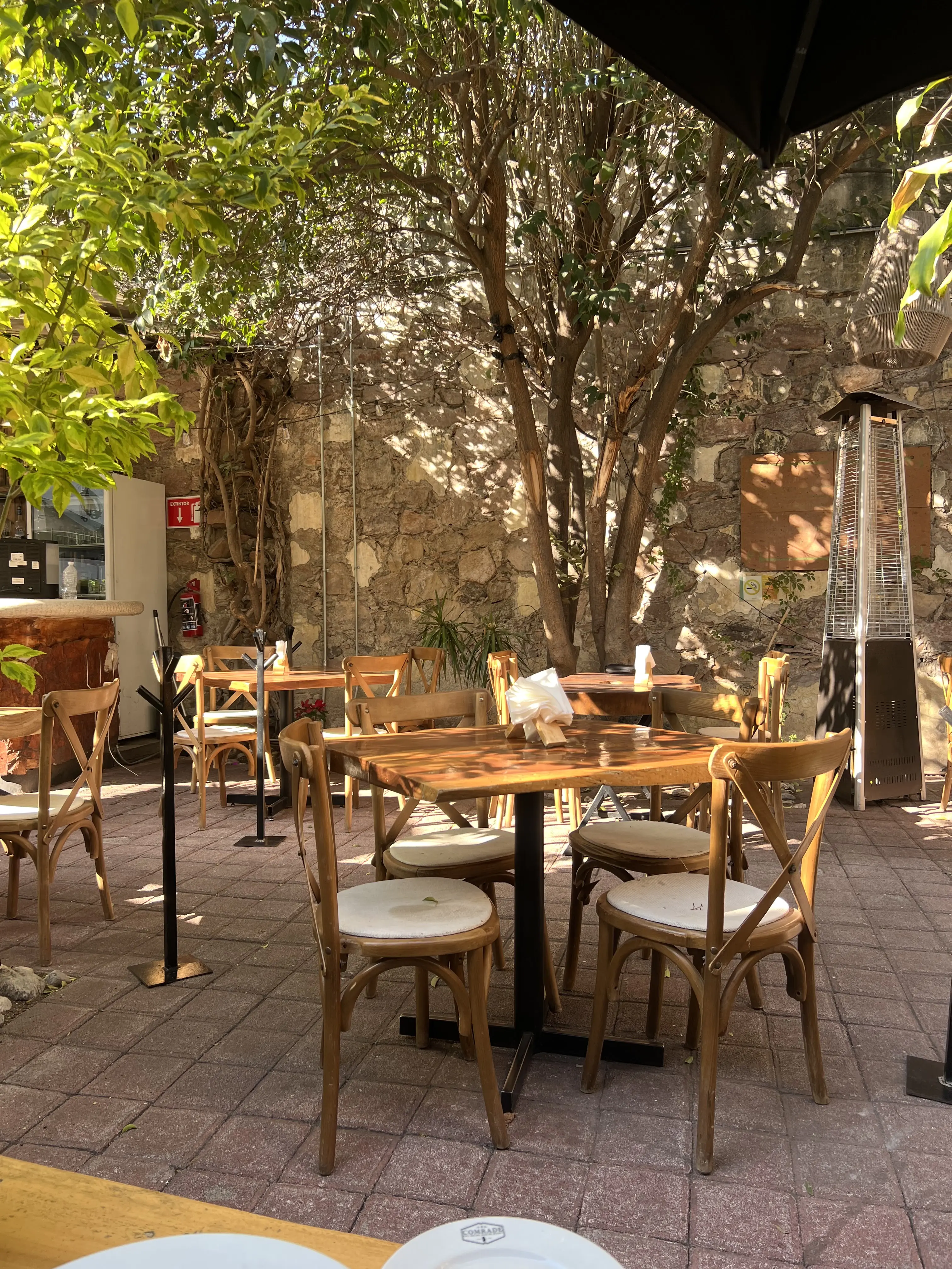 Sayil Centro image 5