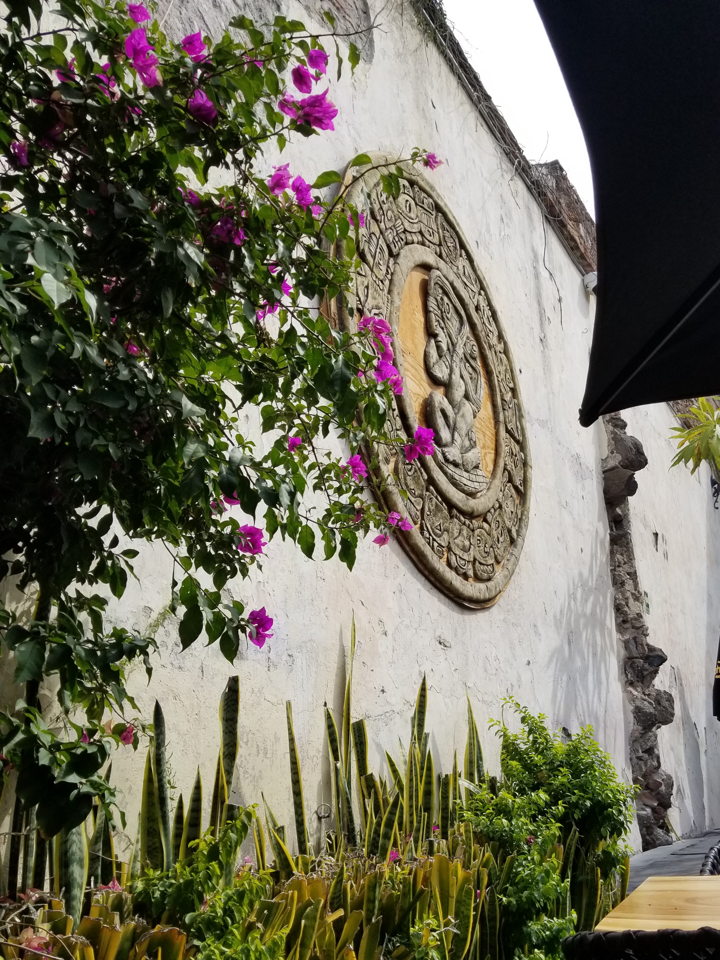 Sayil Centro image 6