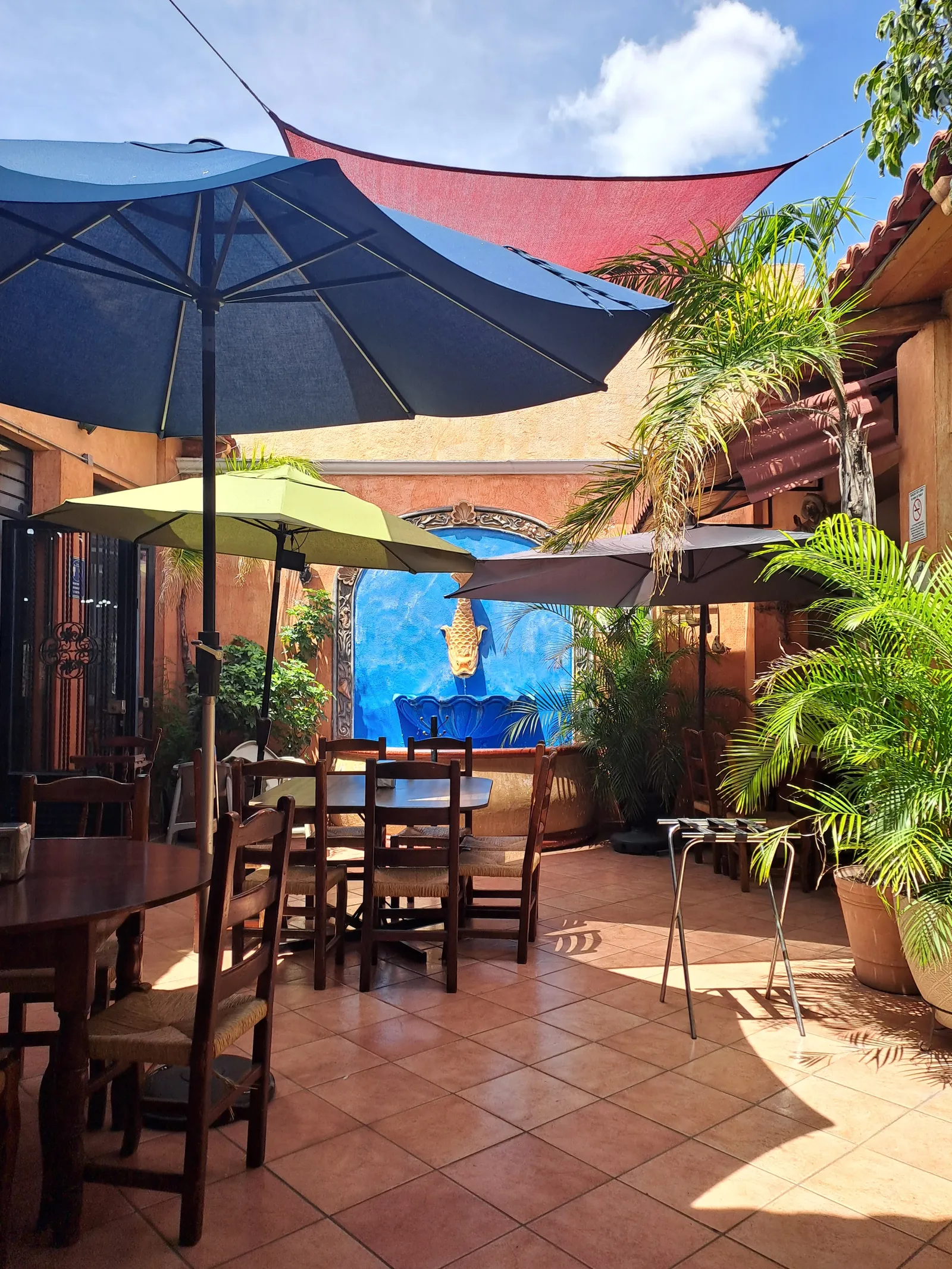 El Palomar image 4