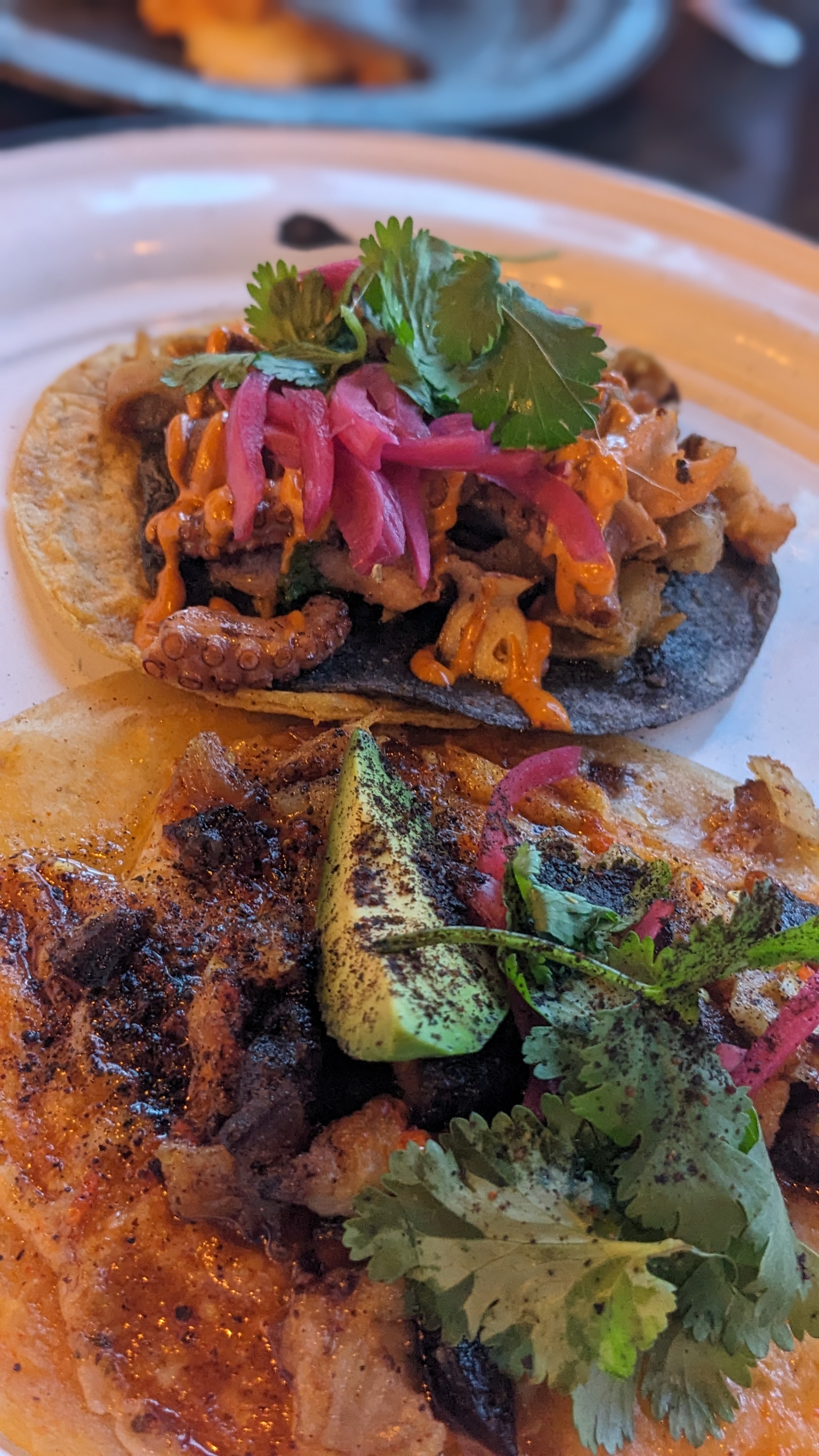 El Guayabo Aguachiles Jrz image 6