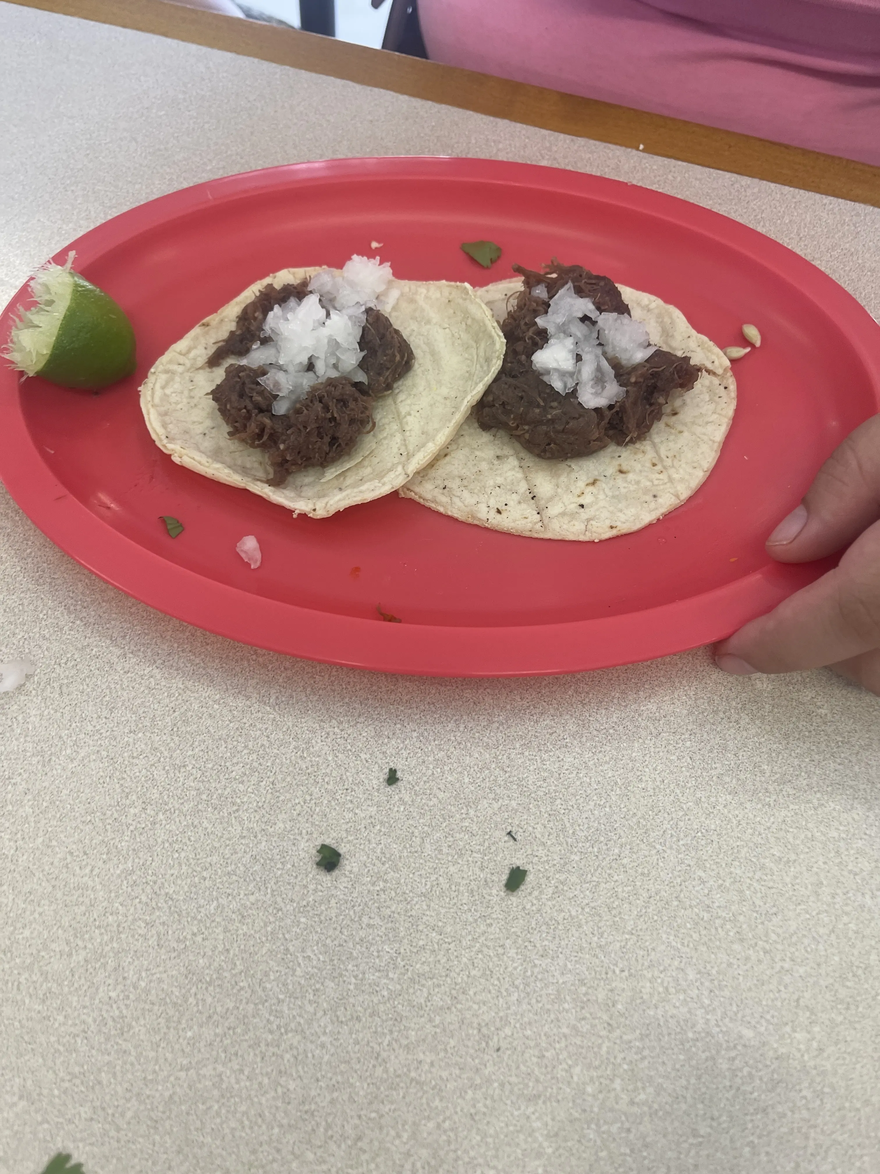 Barbacoa El Güero Pilo image 10