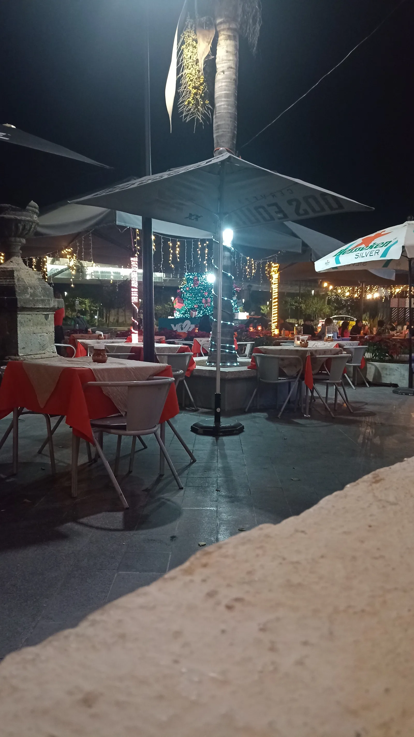 Mayas Bar image 7