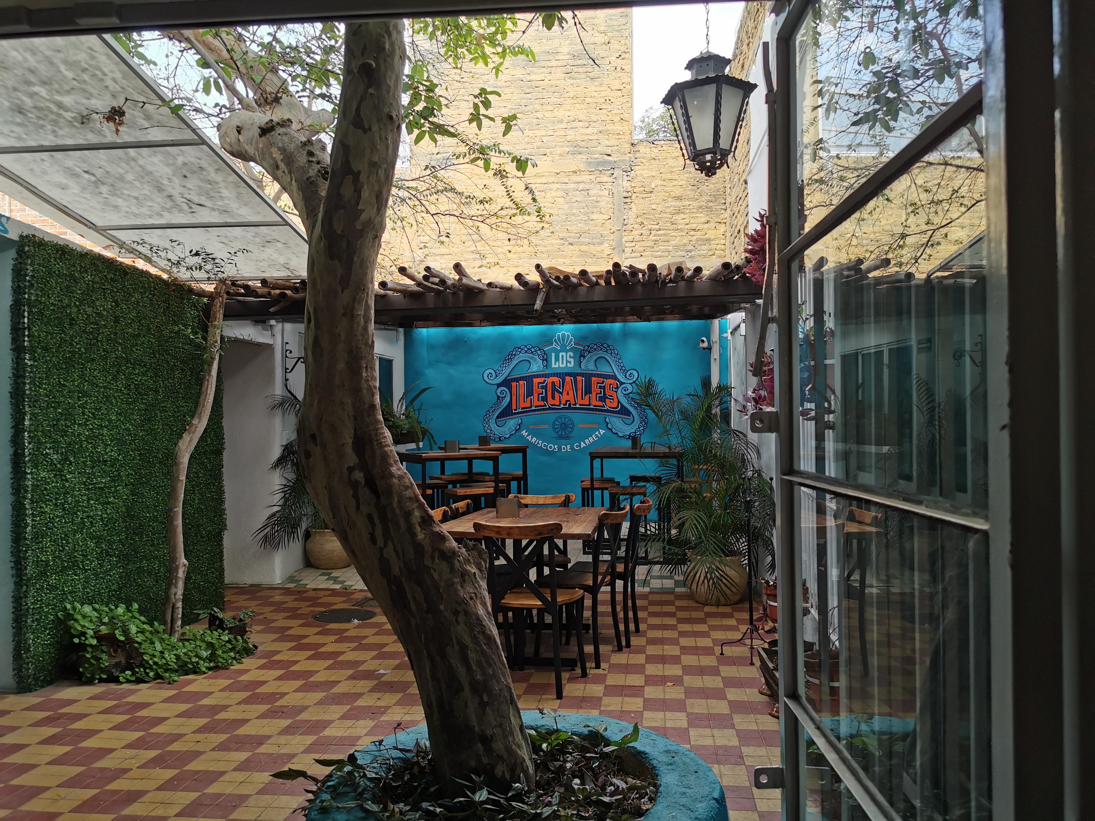 Aquí X el diablito image 9